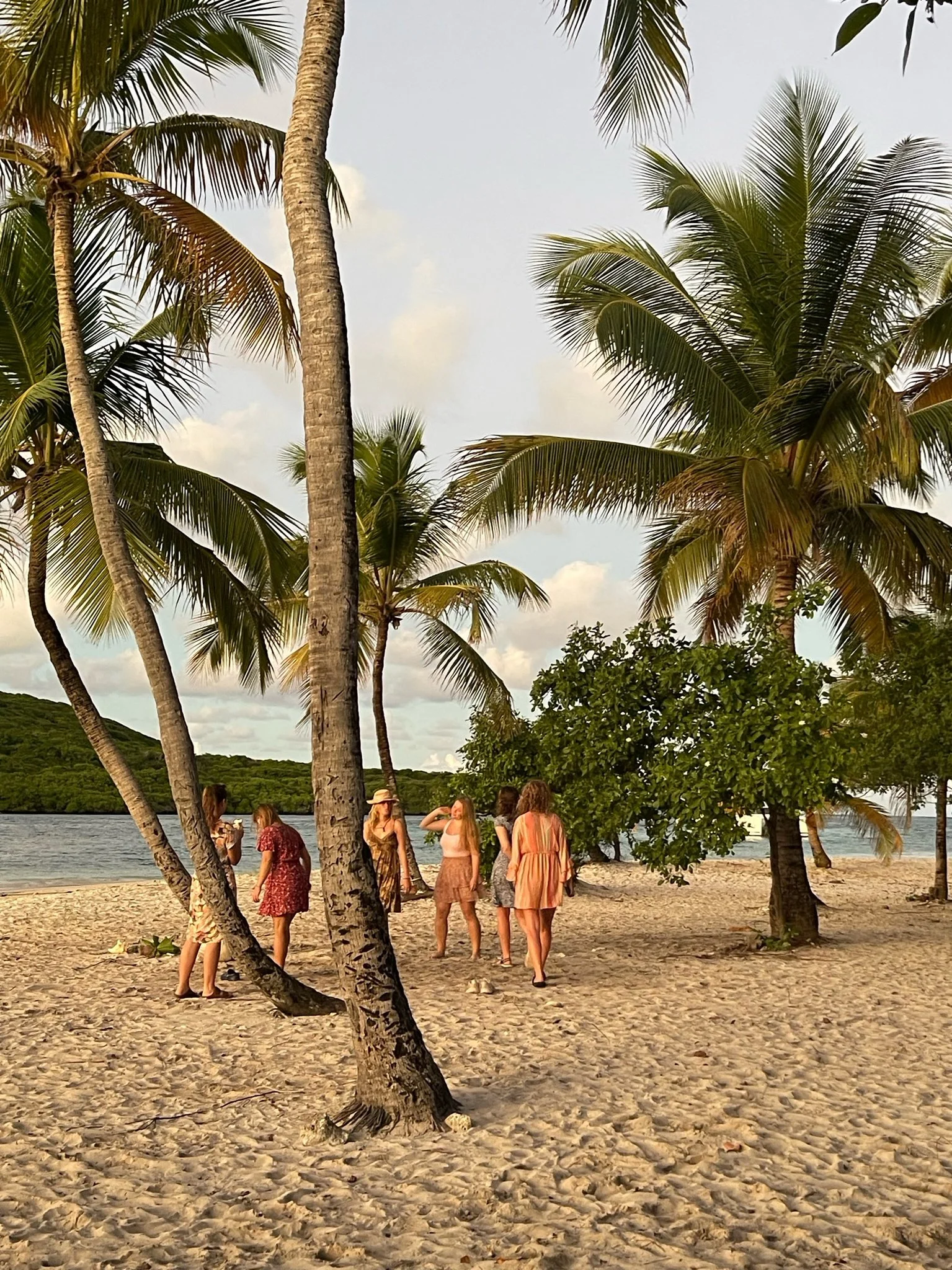tropisk strand.jpg