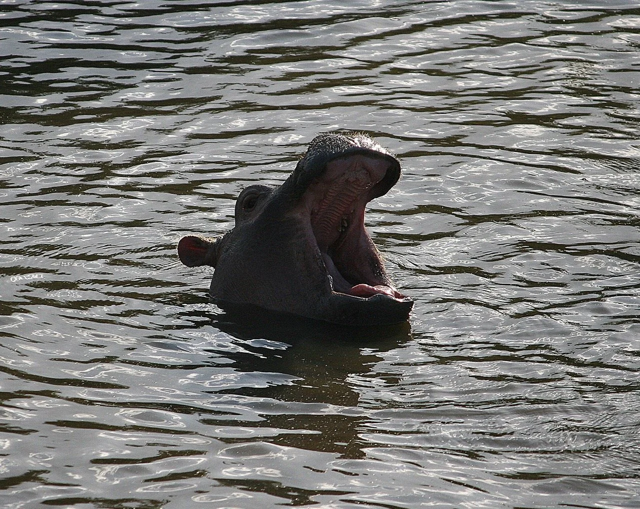 jqsRBN5-0%21largestimage%3FMaxSize%3DImageSize4K 2 – stort.jpeg