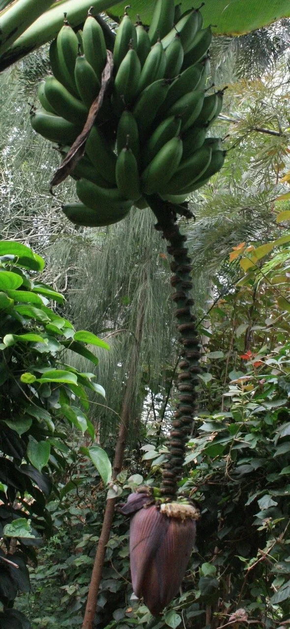 VbJpNqR-0%21largestimage%3FMaxSize%3DImageSize4K – stort.jpeg