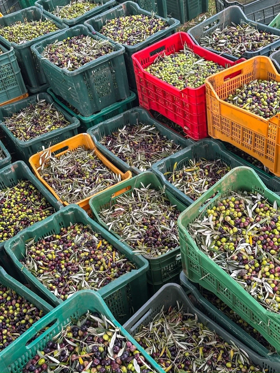 KCCqs3j-0%21largestimage%3FMaxSize%3DImageSize4K 2 – stort.jpeg