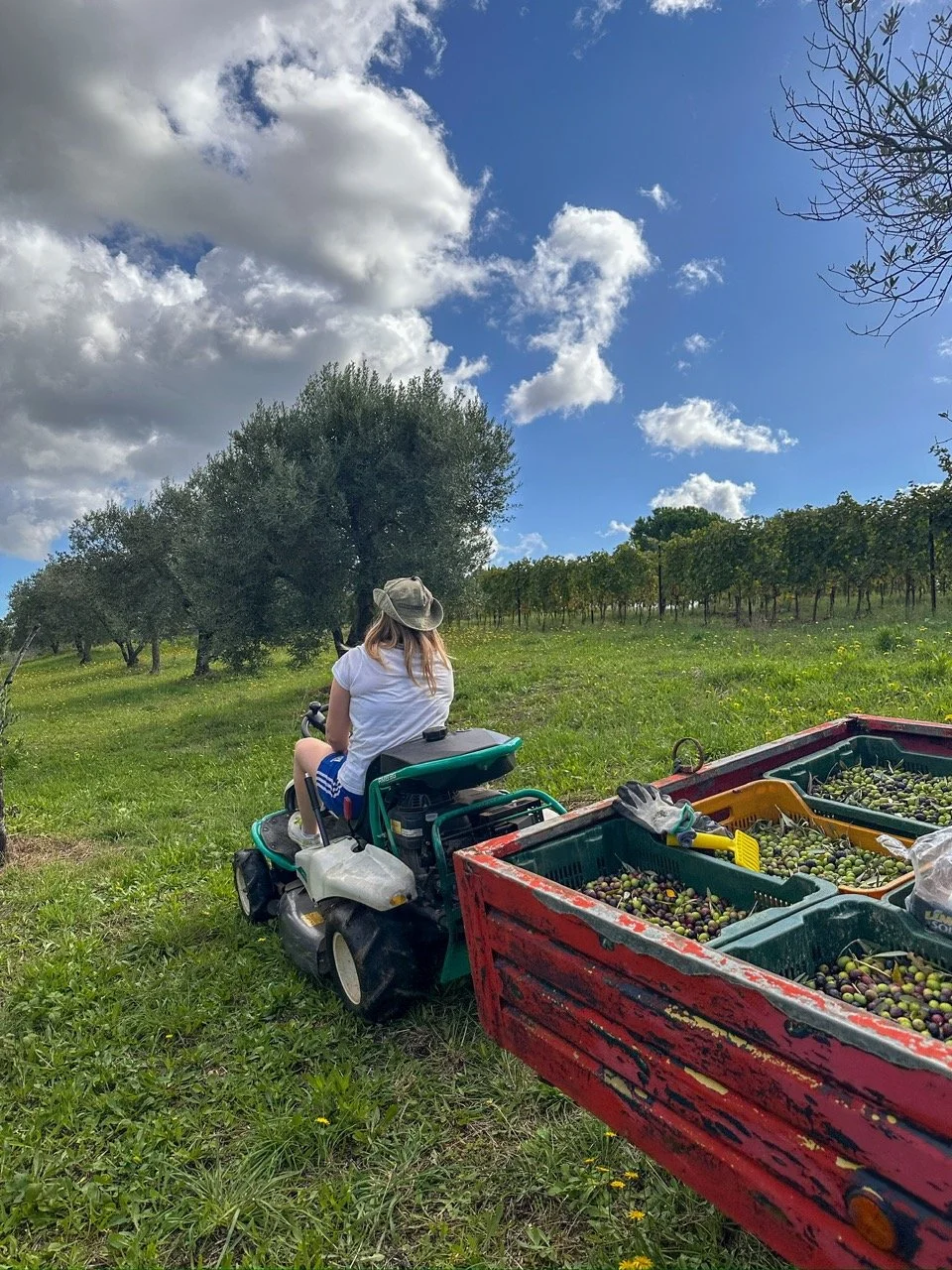 cKqkf8q-0%21largestimage%3FMaxSize%3DImageSize4K – stort.jpeg