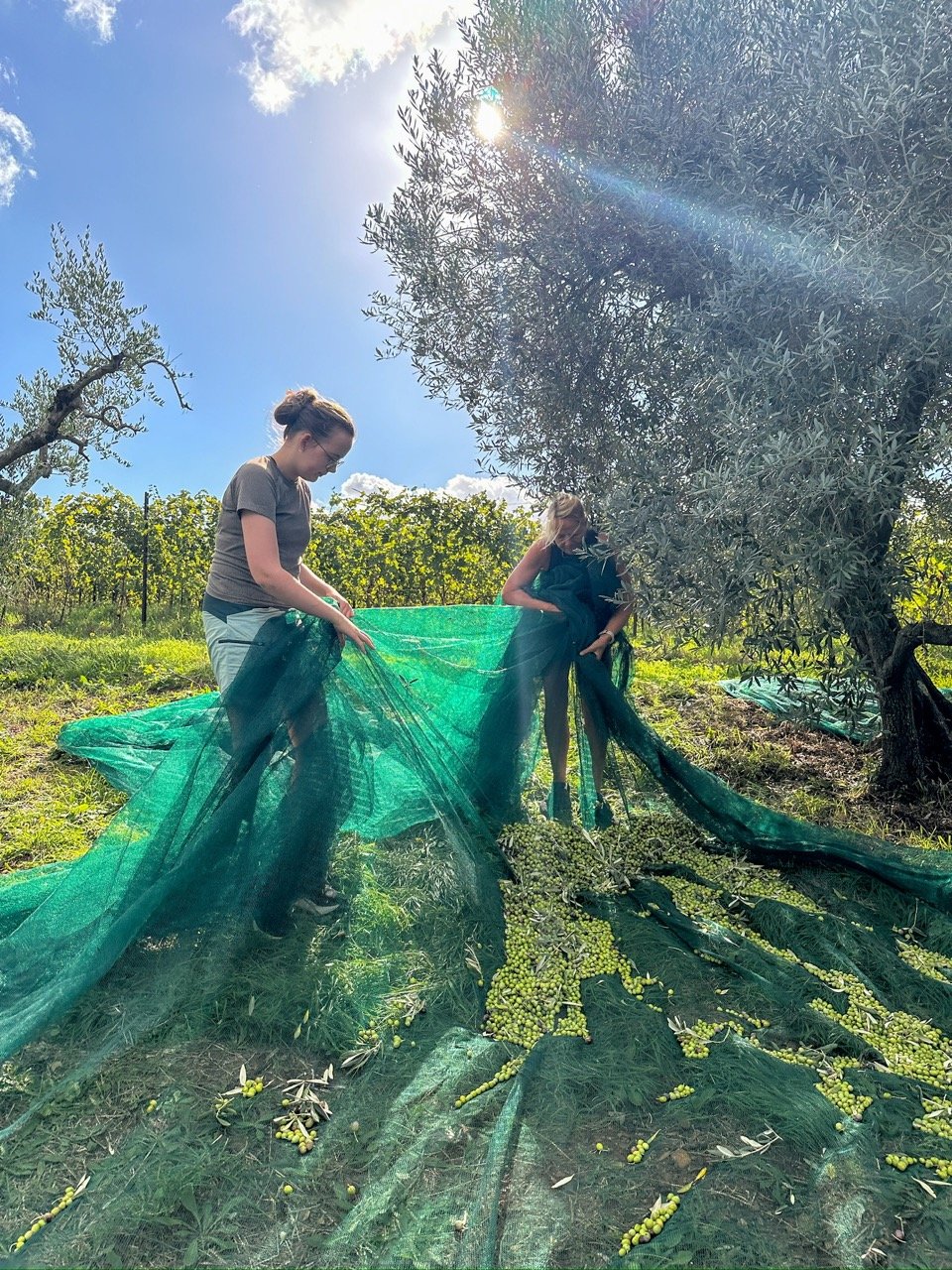 3BVB5sk-0%21largestimage%3FMaxSize%3DImageSize4K 2 – stort.jpeg