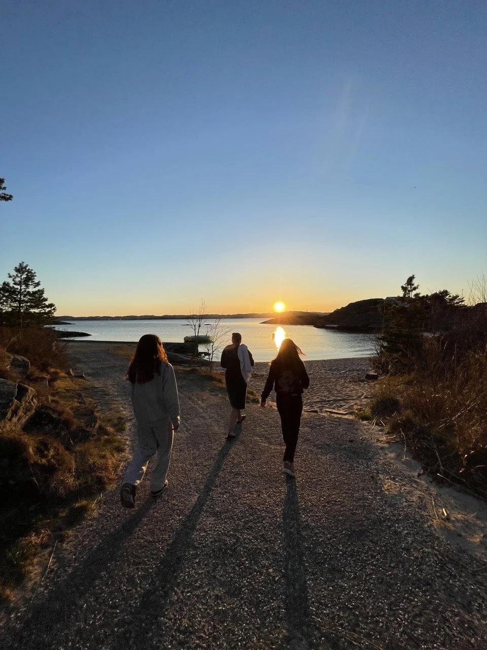 mSrfcpm-0%21largestimage%3FMaxSize%3DImageSize4K – stort.jpeg