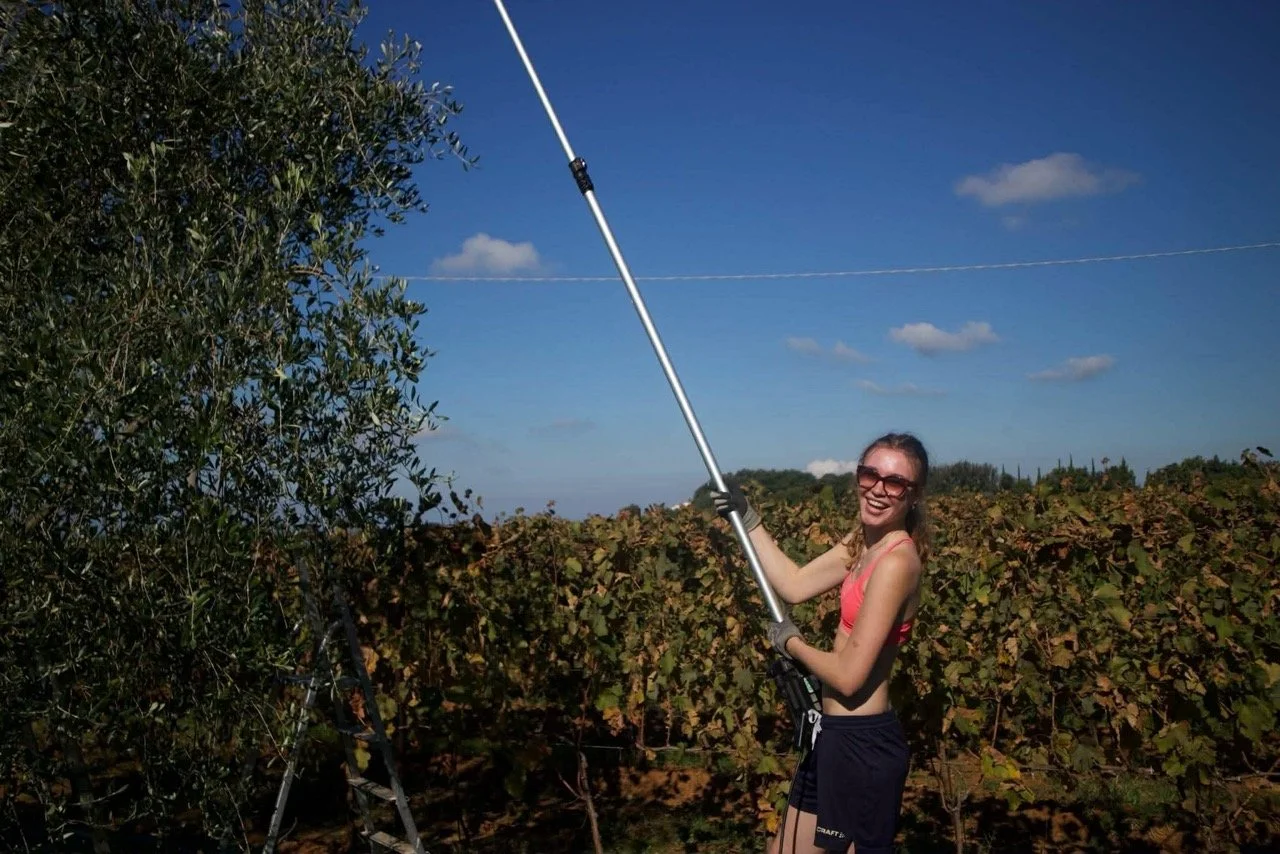 20251213_143014_F9D3BF – stort.jpeg