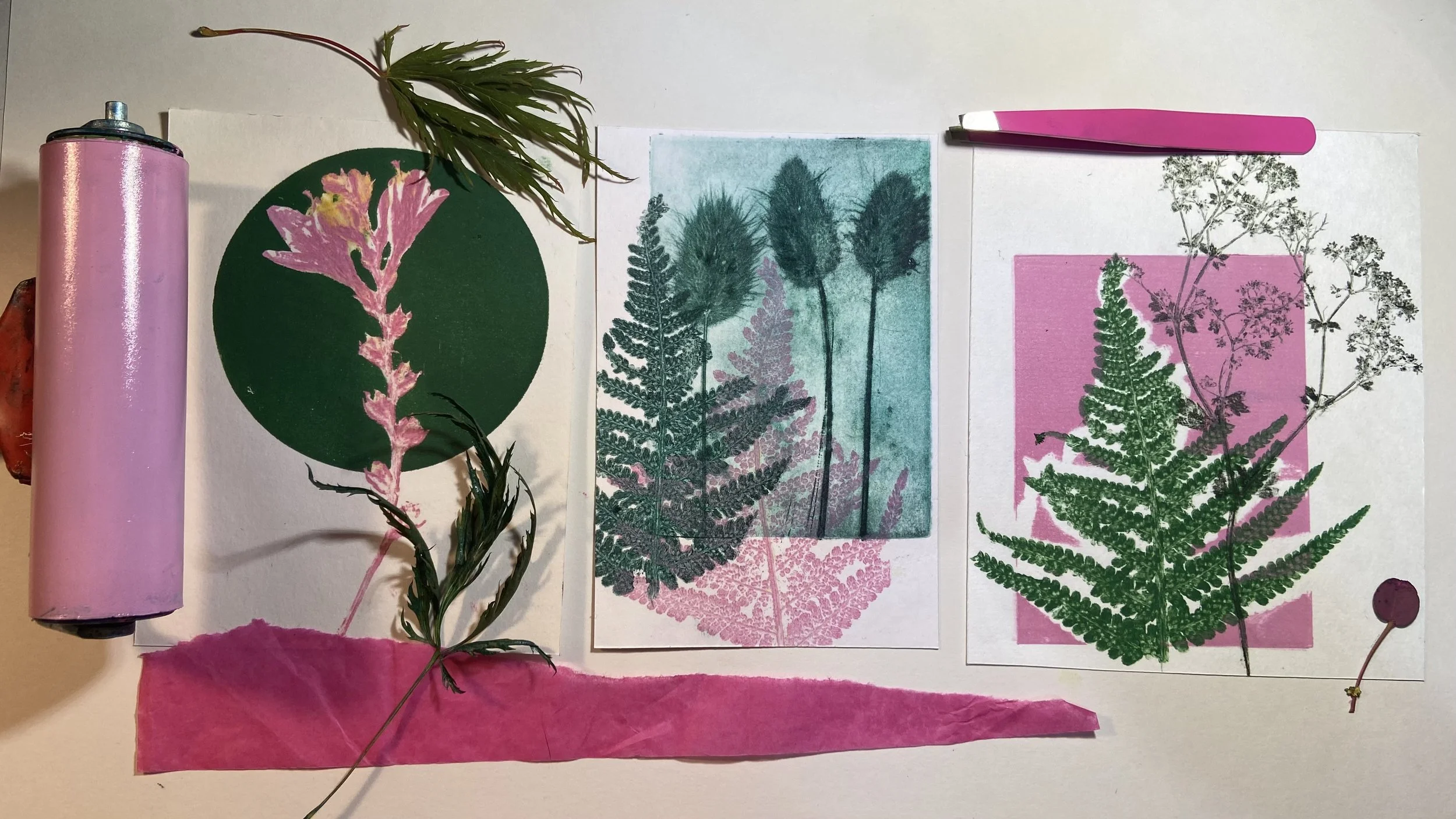 Nature Monoprinting