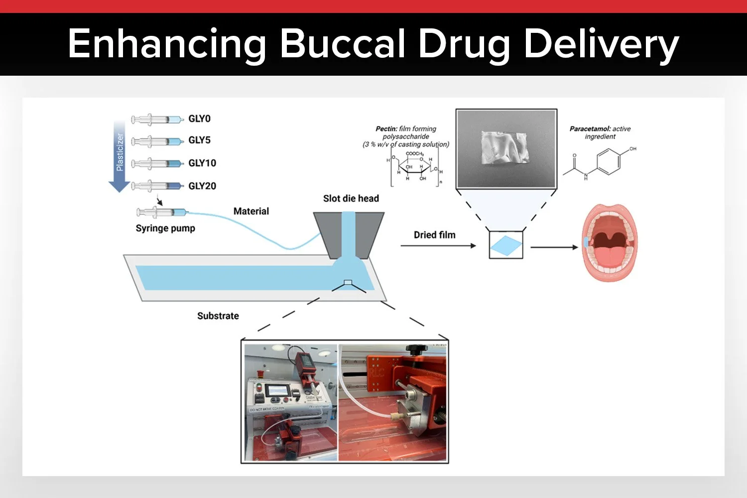 Enhancing Buccal Drug Delivery: The Impact of Glycerol in Slot-Die-Coated Pectin Films