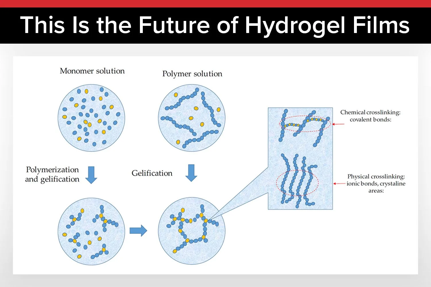 Hydrogel Films Revolutionize Biomedical and Environmental Applications