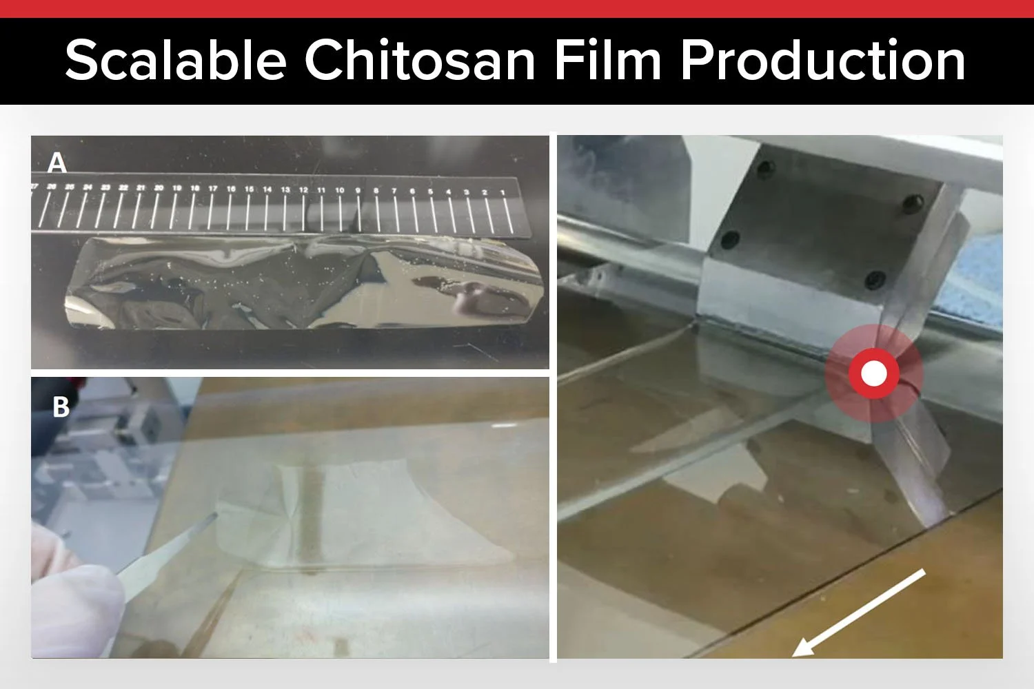Continuous, High-Area, Chitosan-Based Thin Films Manufactured Using Slot-die Coating