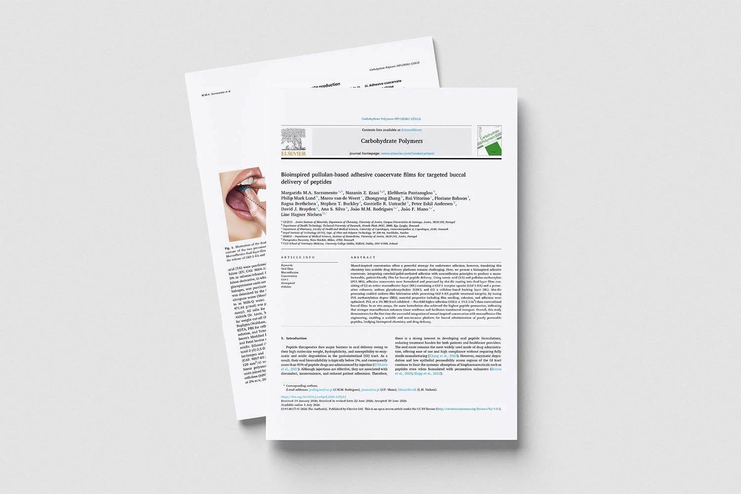 pharma slot die research article
