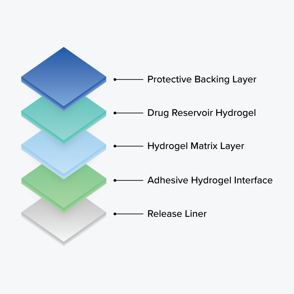 Hydrogel Layer Structure using slot die coating