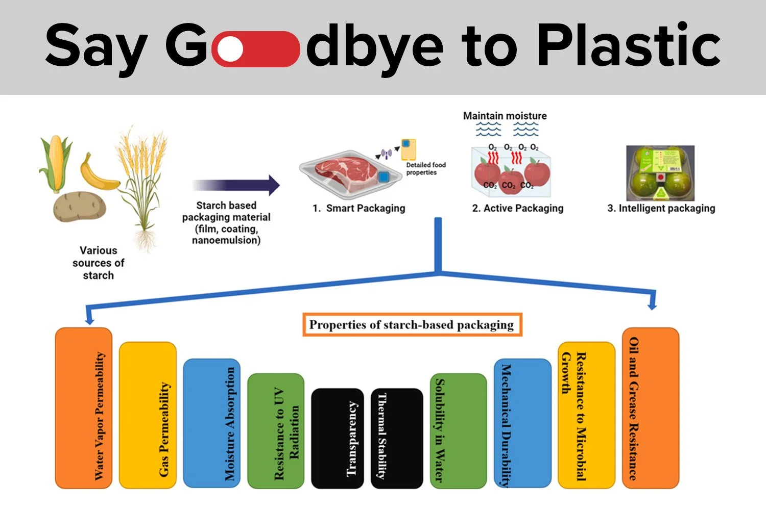 Sustainable Food Packaging: Slot-die Coating and Starch-Based Films