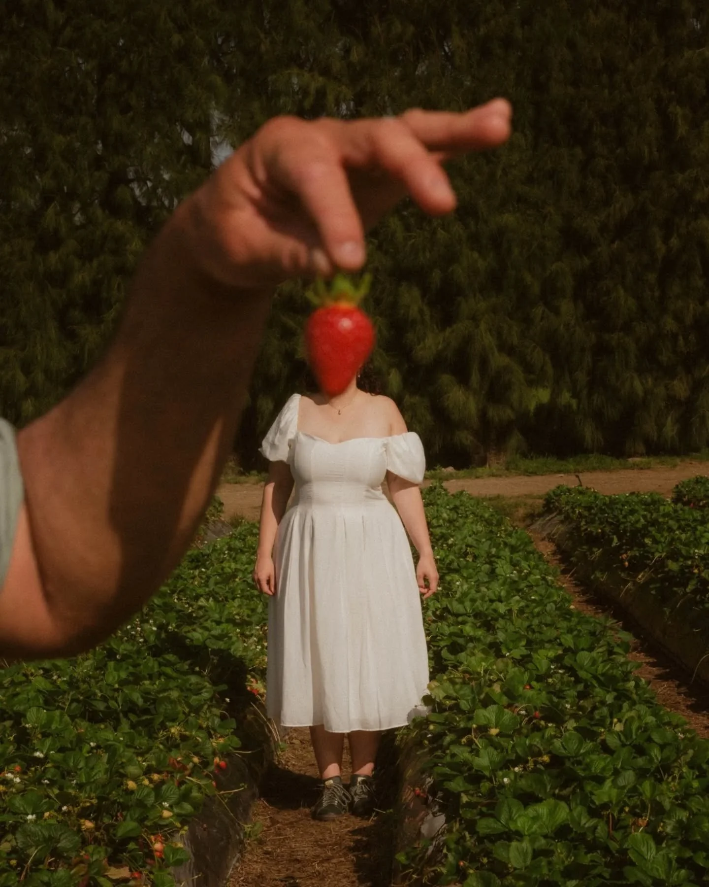 we're berry good together 🐞

not your average engagement shoot! Izzy &amp; Sam got to spend theirs doing their fav things: eating real fruit ice cream (to all the people out there who haven't tried real fruit ice cream in New Zealand, you're missing