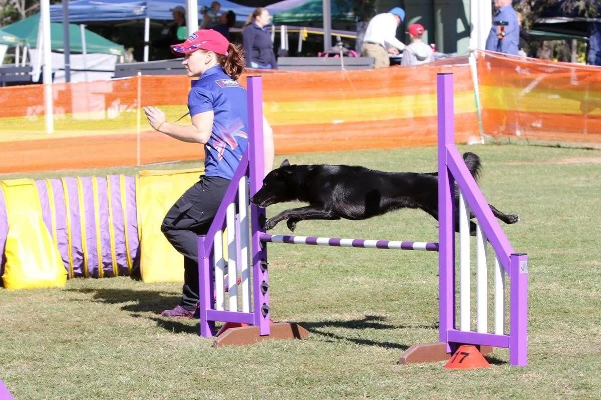 Classes — Brisbane Agility Dog Club