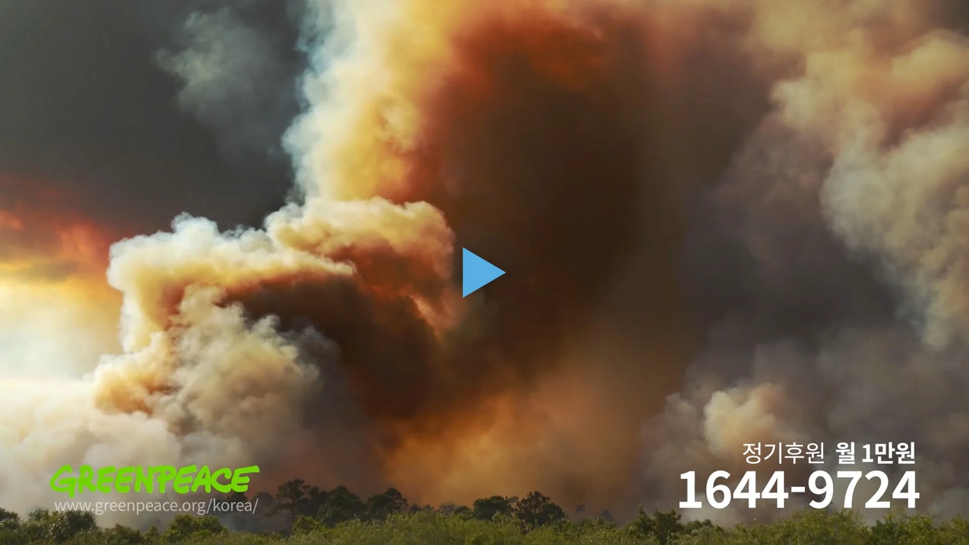 GREENPEACE KOREA