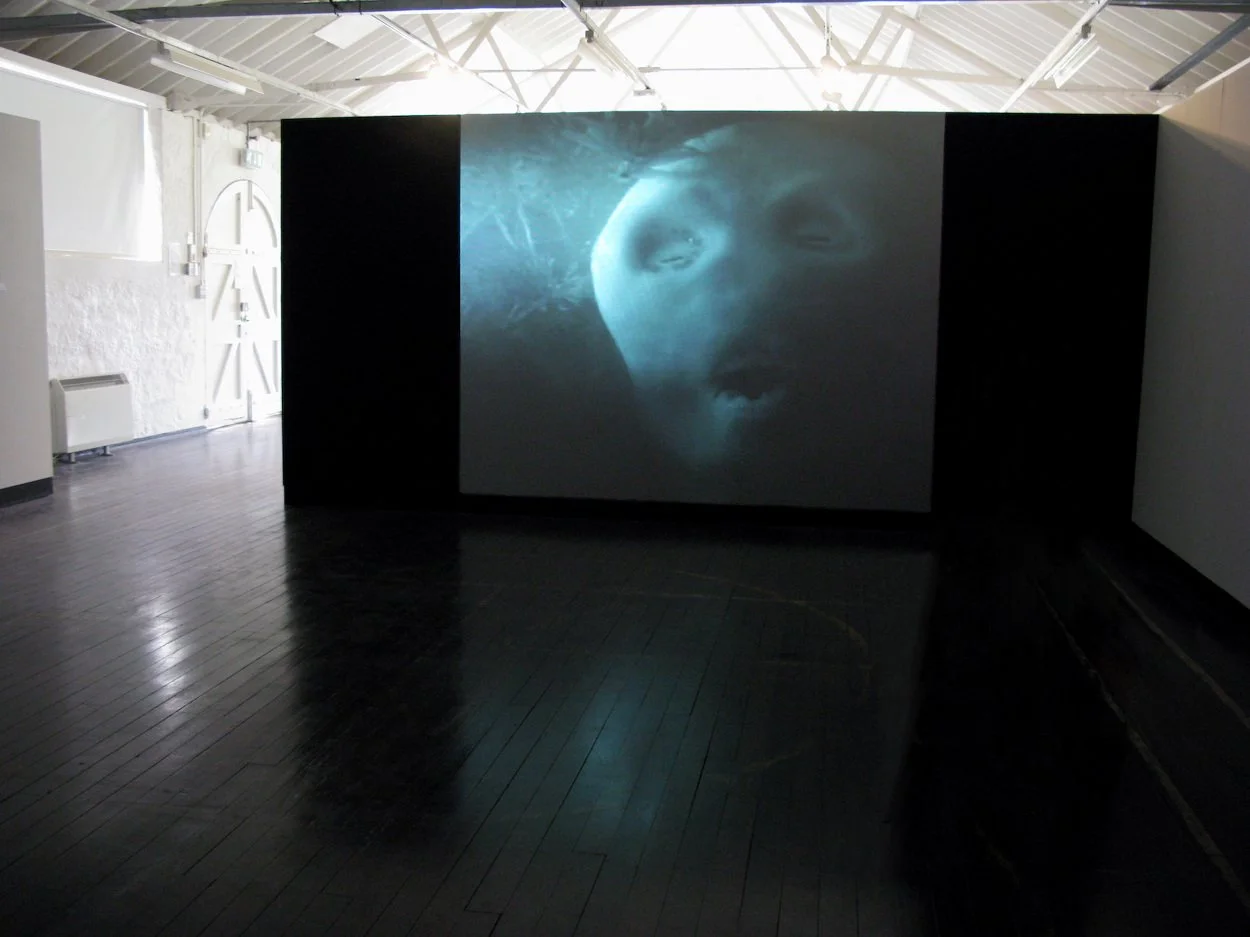 Sea Change, solo exhibition, Berwick Gymnasium Art Gallery, 2009. Ambiguous, amphibian creatures are the eerie and fantastical protagonists of Kim L Pace’s unfolding narrative ‘Sea Change’ which includes drawings, objects and animated film. 
