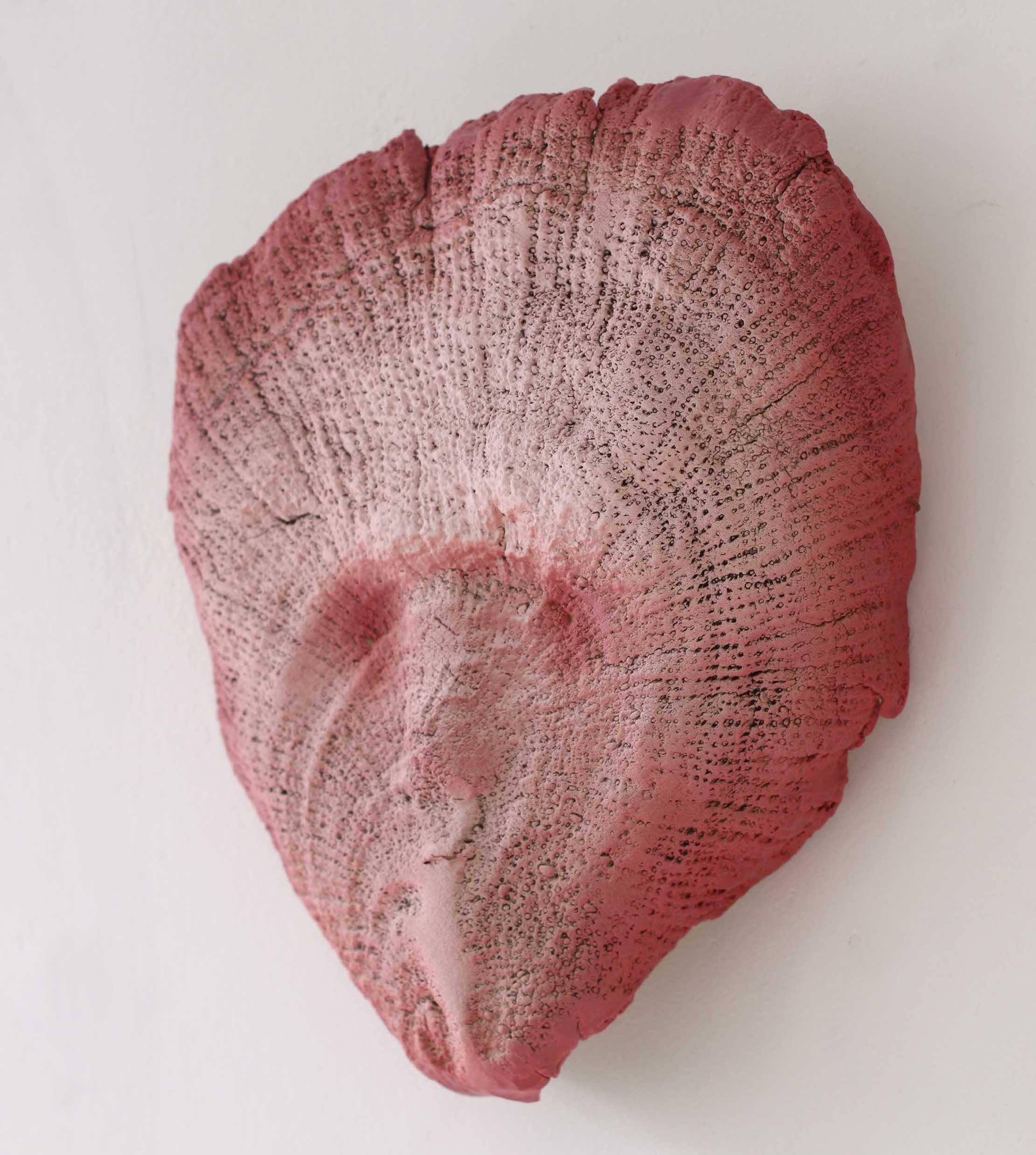 Sea Nymph (Coraline), 2023
Glazed ceramic, 25 x 22 × 6 cm.