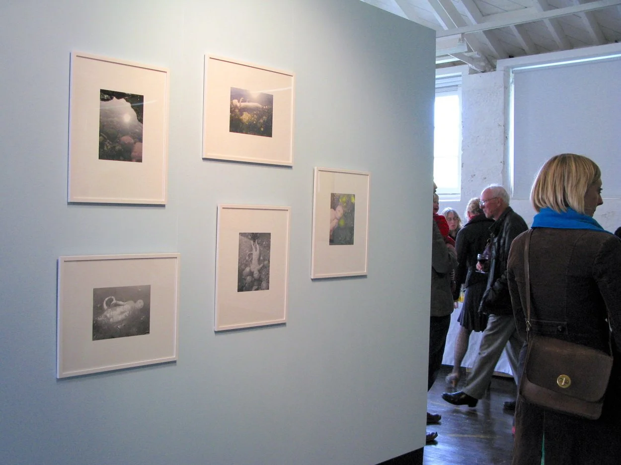 Sea Change installation detail. Pace depicts a world in flux, where humans migrate into bizarre and amazing forms, inspired by Ovid’s ‘Metamorphoses’ and Mary Shelley’s ‘Transformation’, alongside myths, stories and superstitions associated with the 