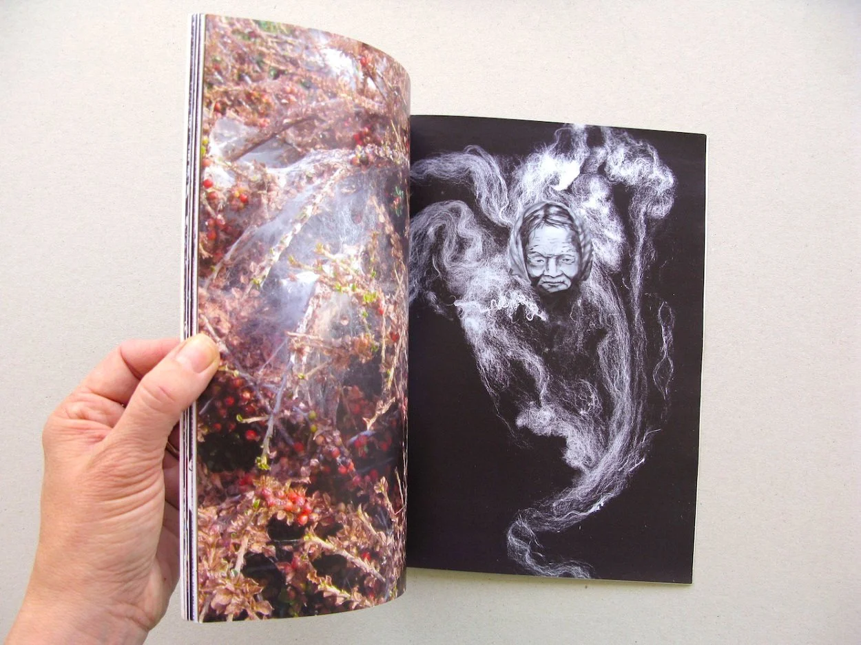 Detail: Nightshade, The Witch, 2014.