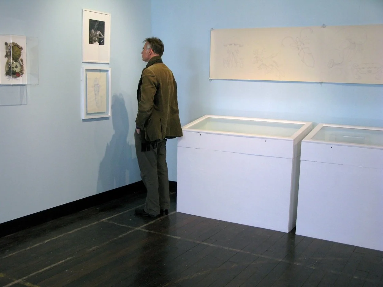 'In the Lap of the Cods (or Cryptozoology)' installation, included vitrines and drawings. Part of 'Sea Change' exhibition, 2009.