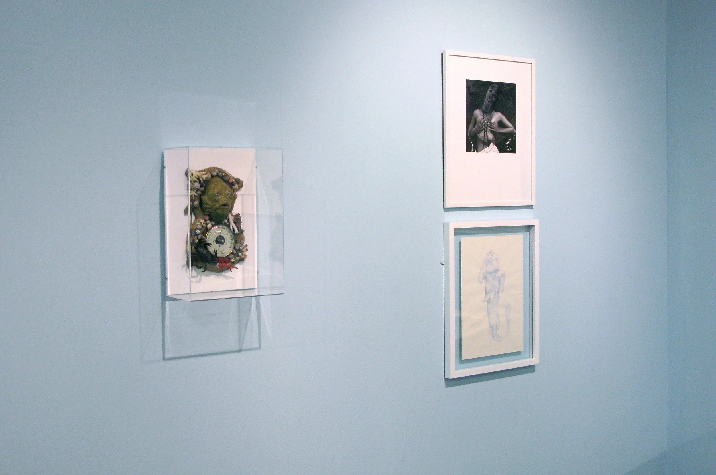 'In the Lap of the Cods (or Cryptozoology)' installation, included vitrines and drawings. Part of 'Sea Change' exhibition, 2009.