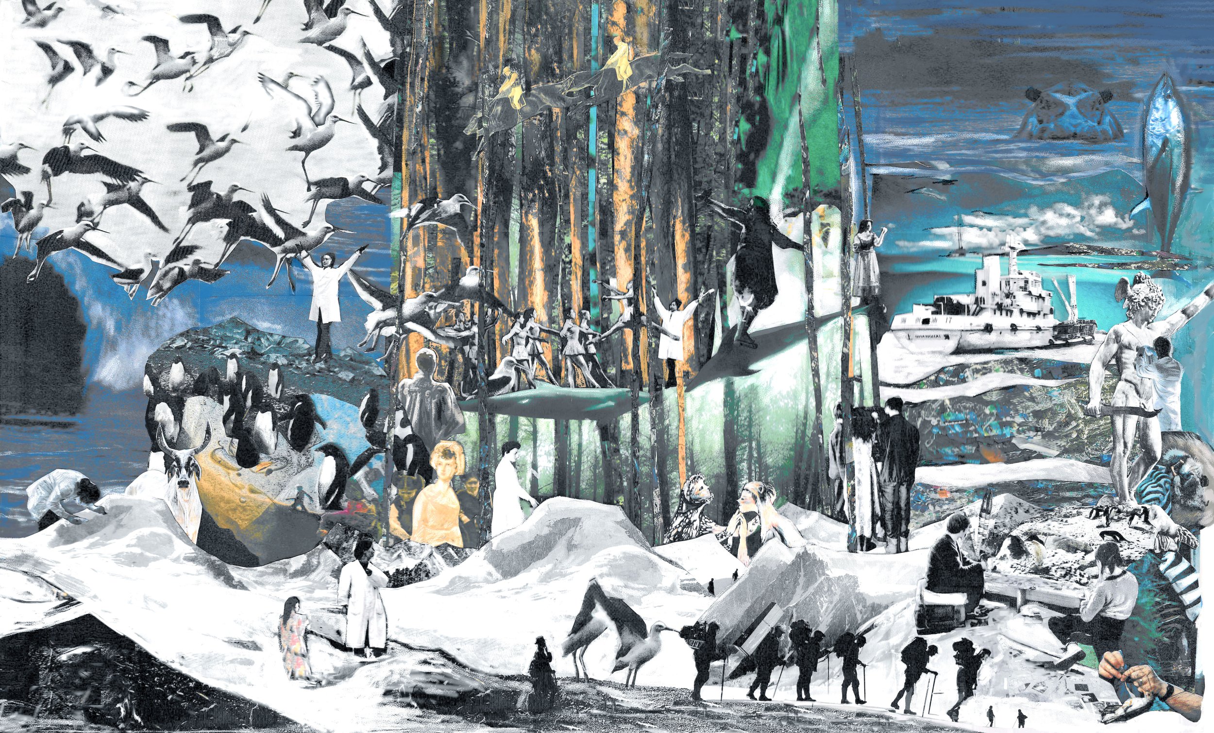 Sciences perceptibles