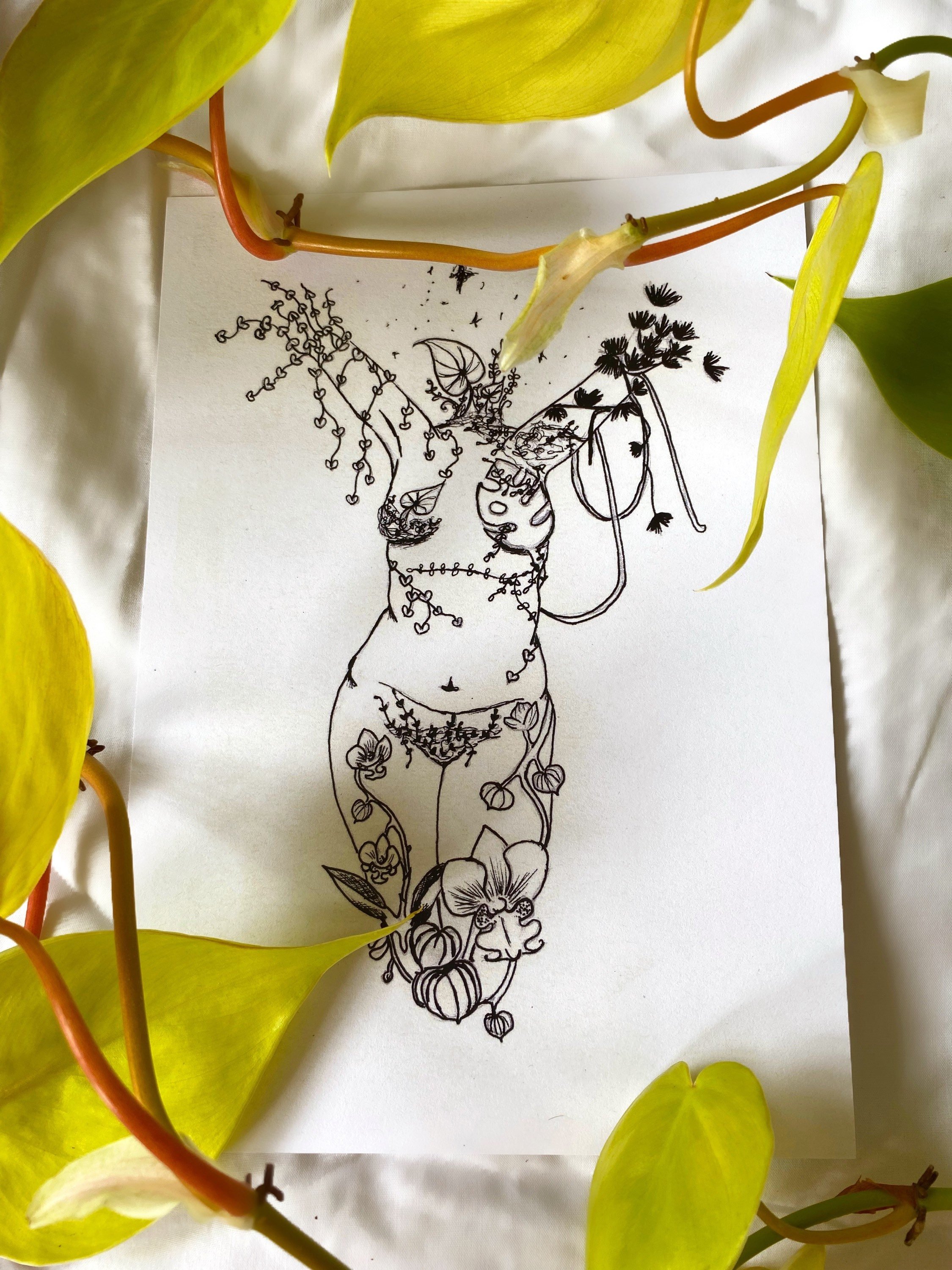https://i.etsystatic.com/27258671/r/il/d228c1/3266709526/il_fullxfull.3266709526_sxyl.jpg