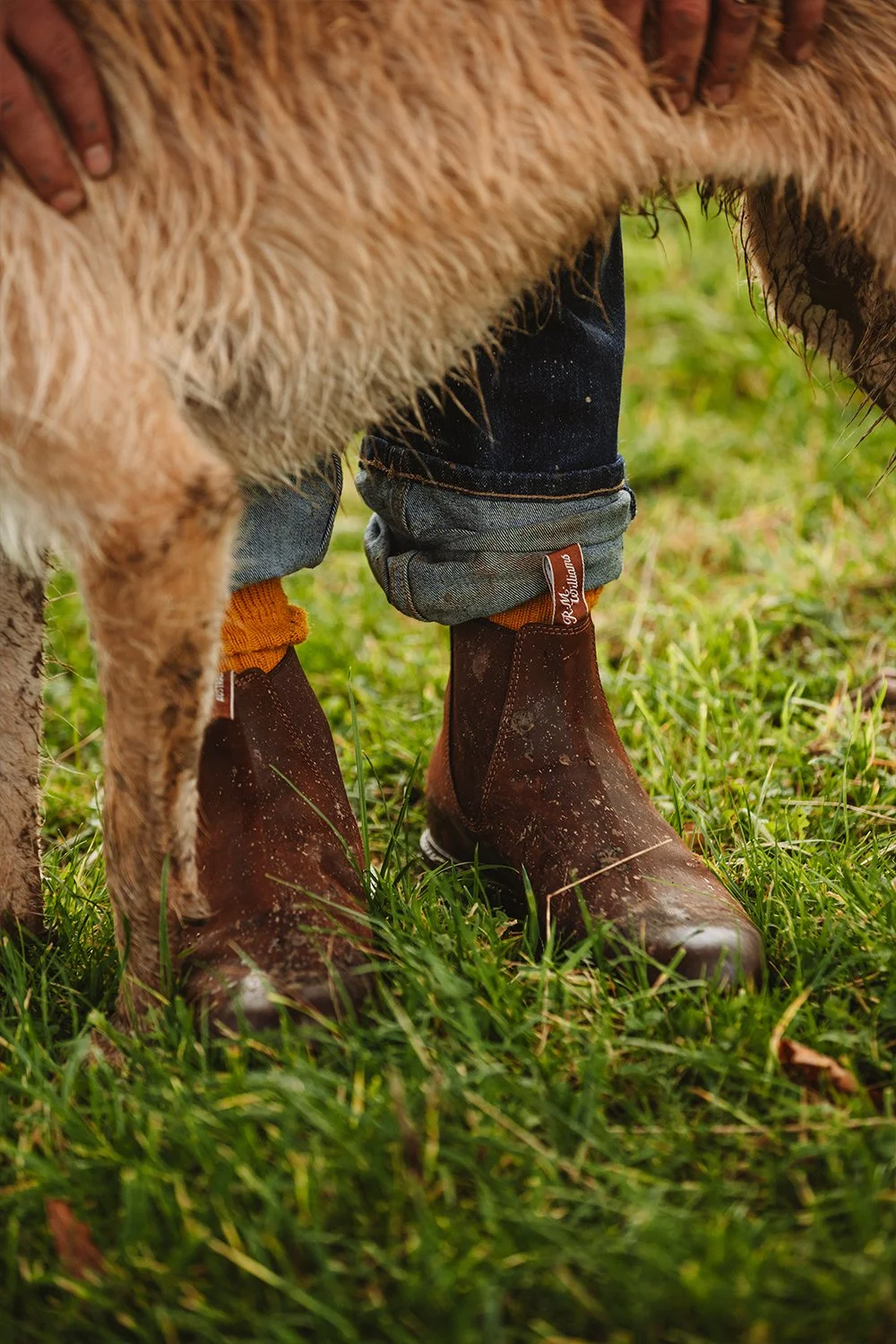 RM WILLIAMS - ROLLO DUNFORD WOOD-1 copy6.jpg