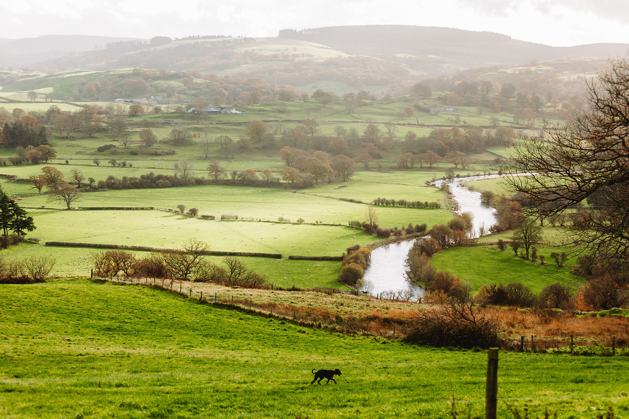 RM WILLIAMS - ROLLO DUNFORD WOOD-21 copy2.jpg