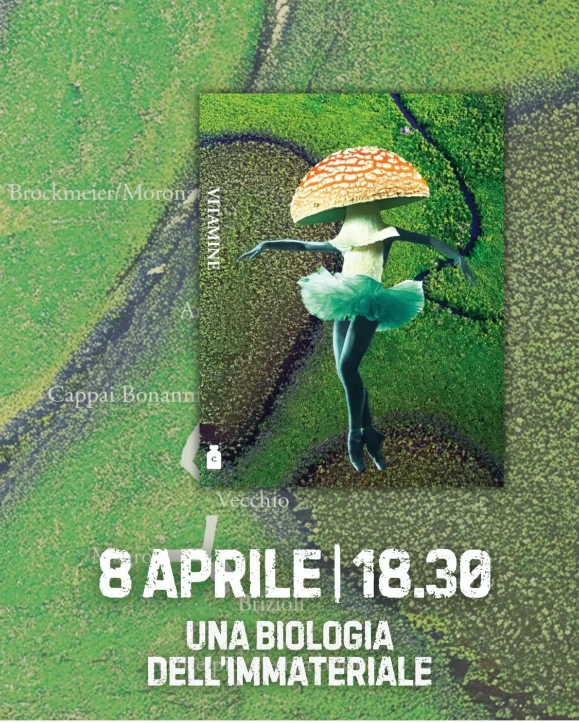 "Una biologia dell'immateriale". Presentazione della rivista Vitamine @ Libreria del Golem, Torino