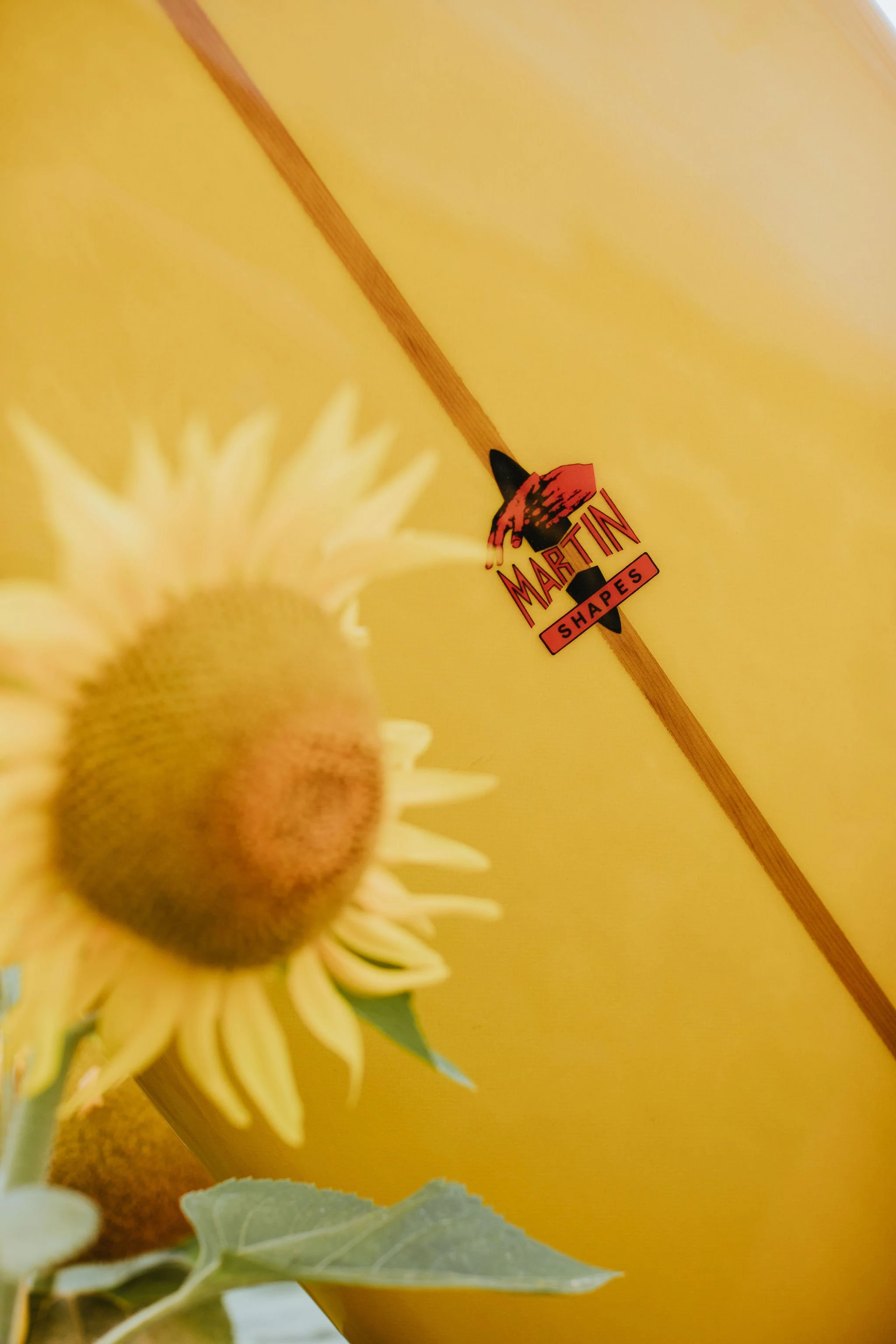 📷 Elsa Girault @dustydarkroom