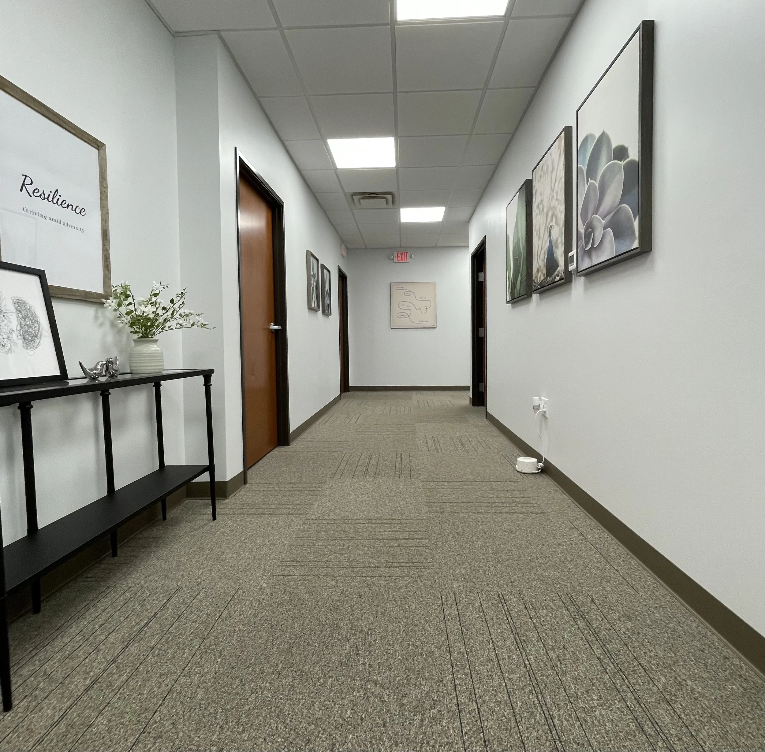 Hallway with resilience picture. Indianapolis, IN counseling private practice. Therapist near me specialized in providing trauma therapy, anxiety therapy and couples counseling.