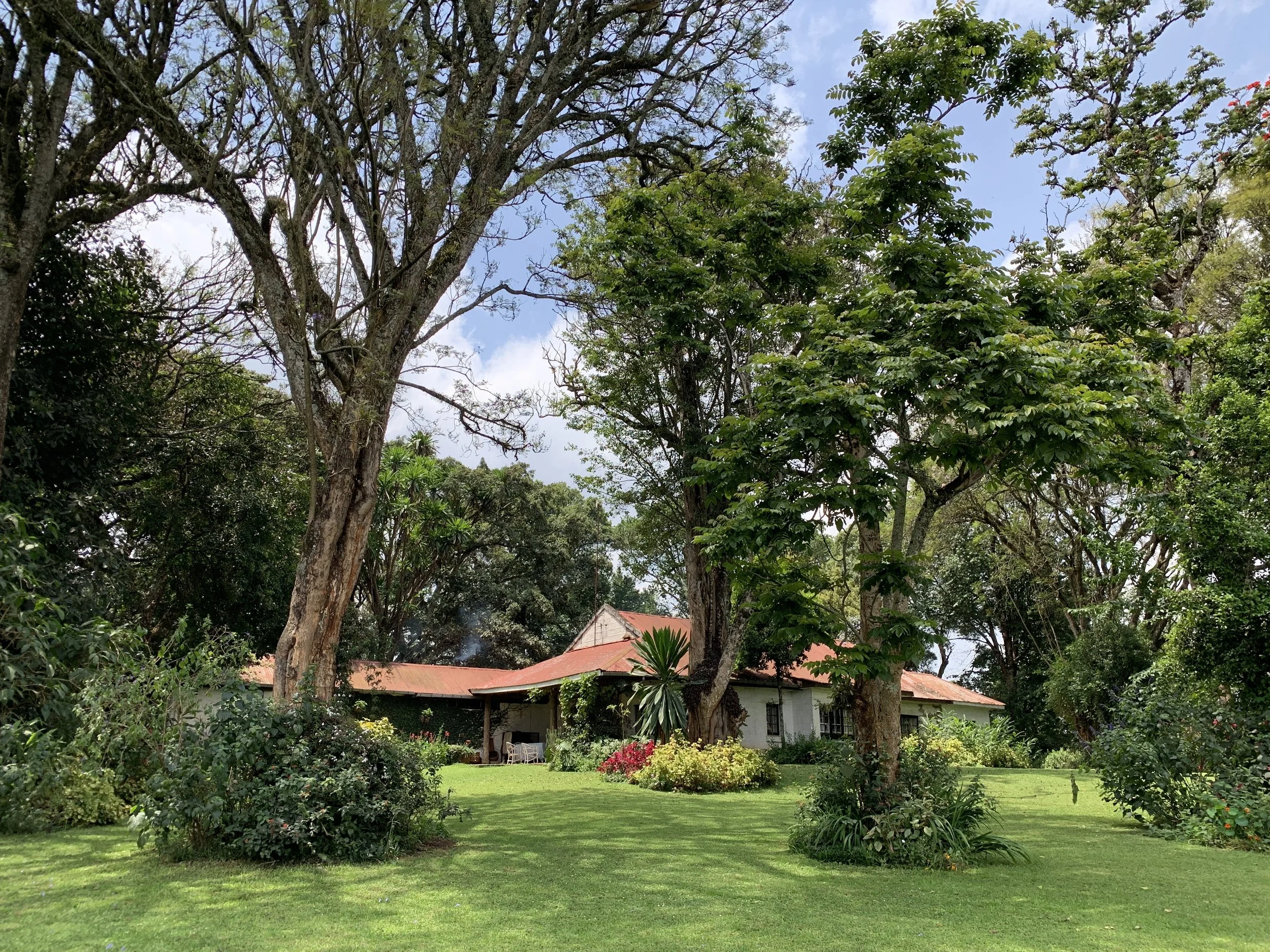 Kenya Artist Residency & Creative Retreats