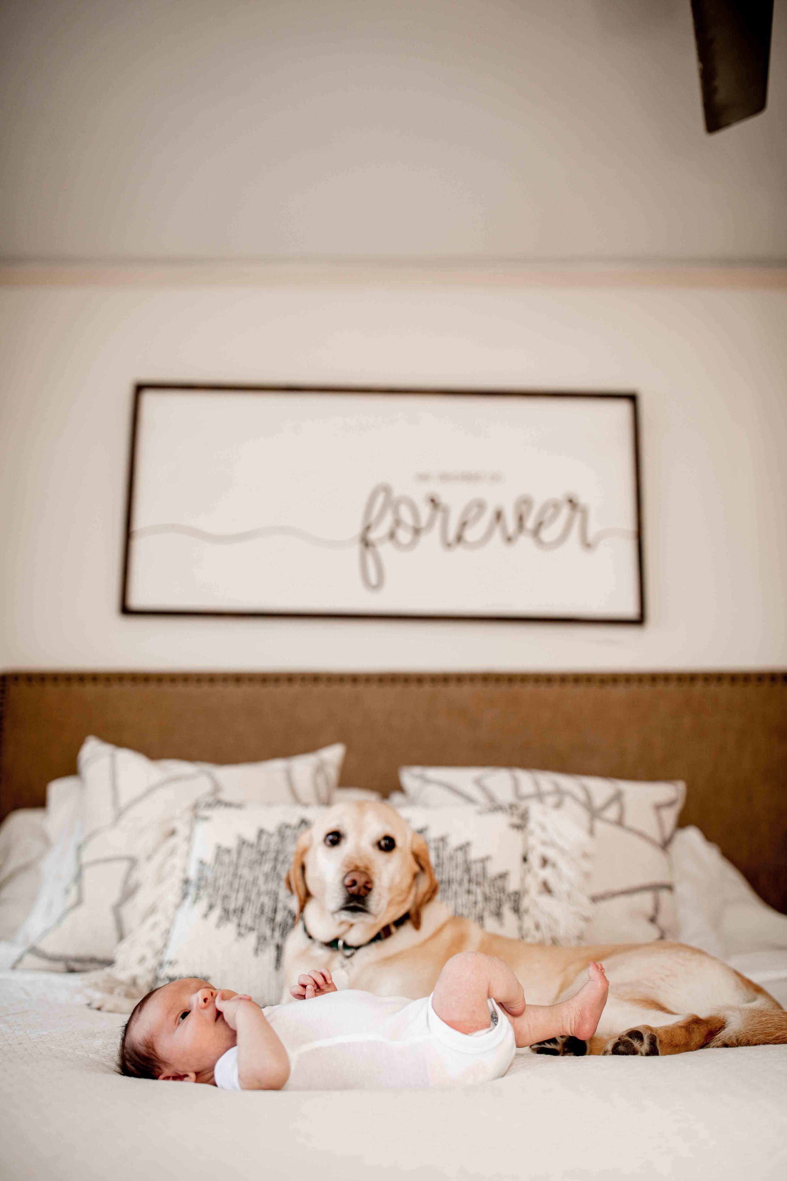 brooke-linquist-newborns-15.jpg