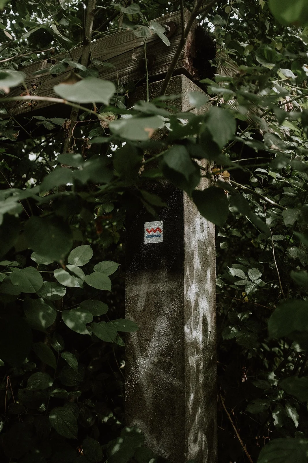 Zollvereinsteig Zeche Carl Wandern im Ruhrgebiet Kultur Industriekultur Essen Marketing-2294.jpg