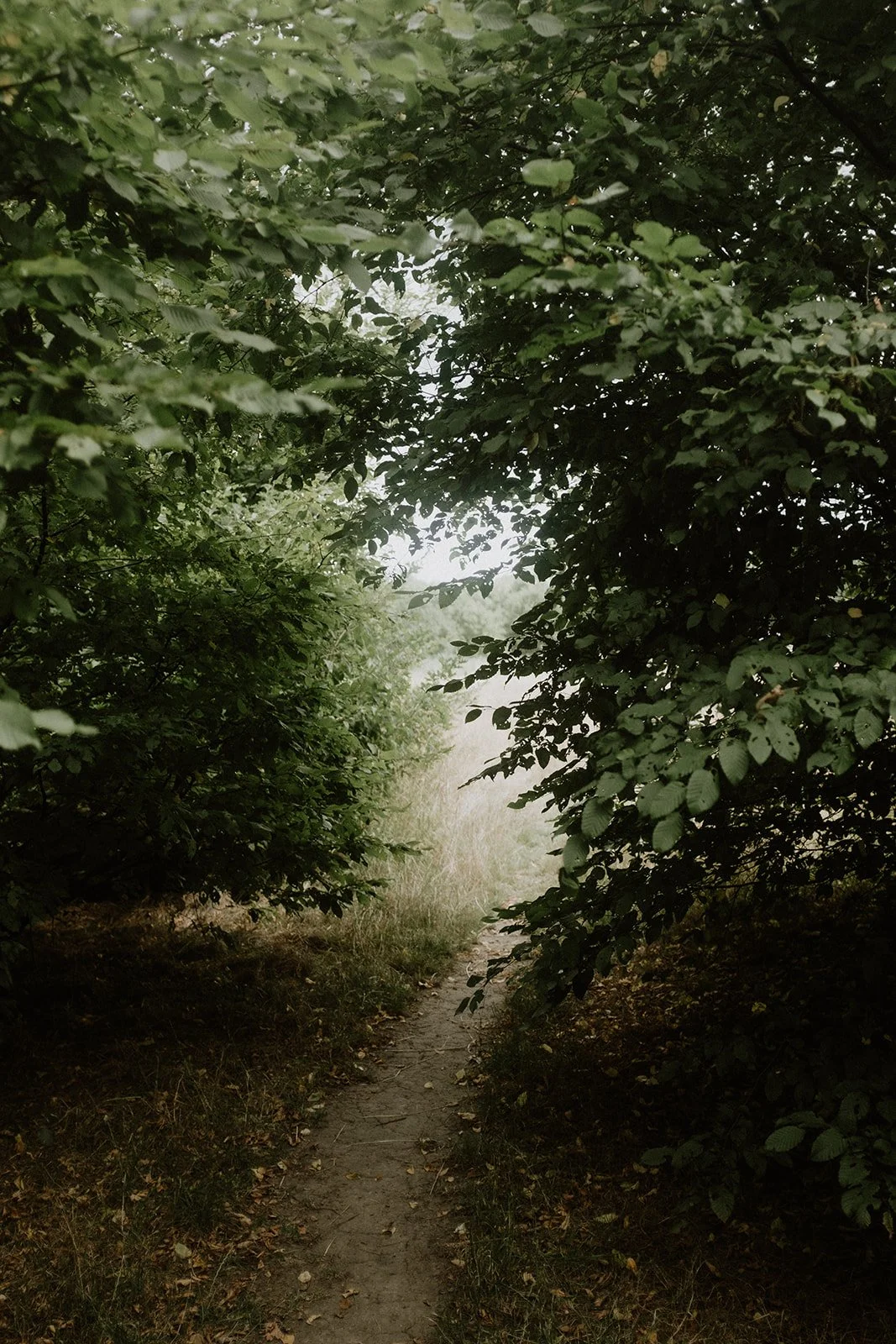 Zollvereinsteig Zeche Carl Wandern im Ruhrgebiet Kultur Industriekultur Essen Marketing-2314.jpg