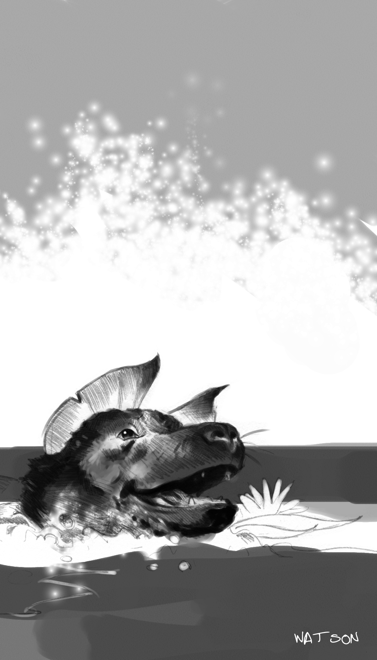 Rescue Dogs Interior 3