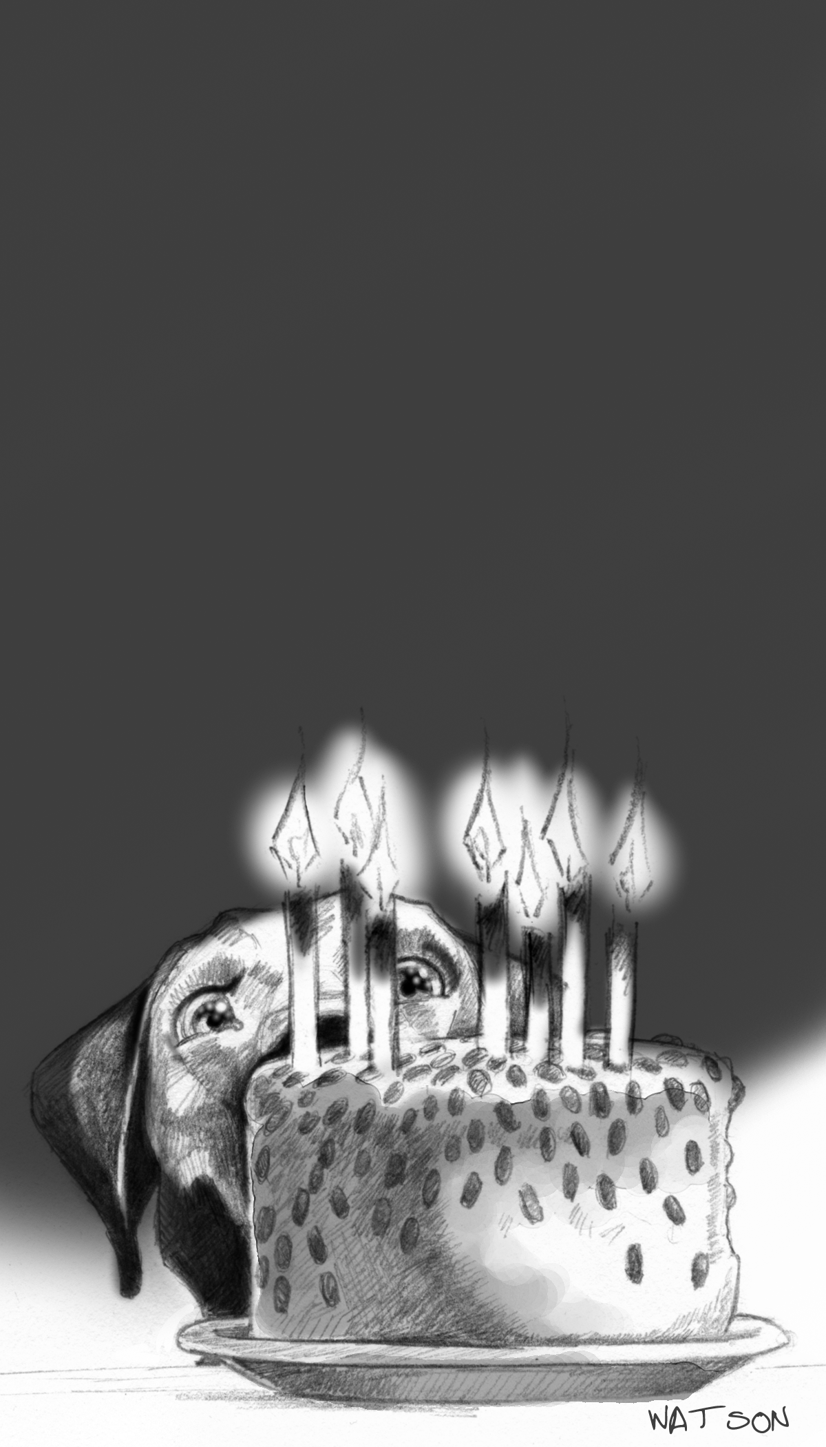 Rescue Dogs Interior 2