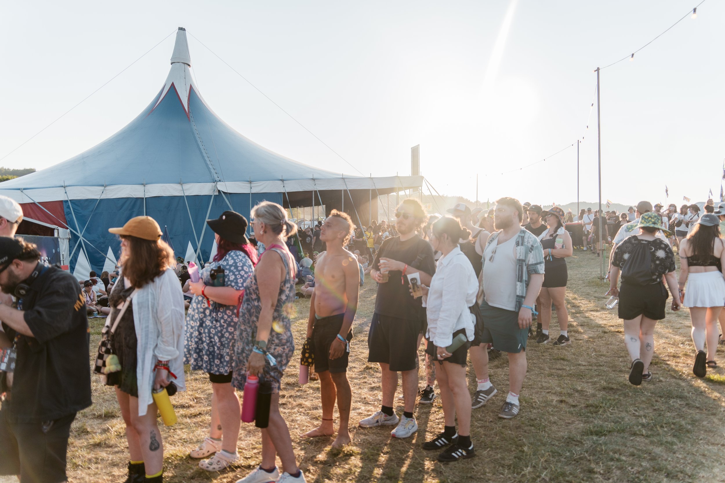 2000Trees Daily Recap: Wednesday!