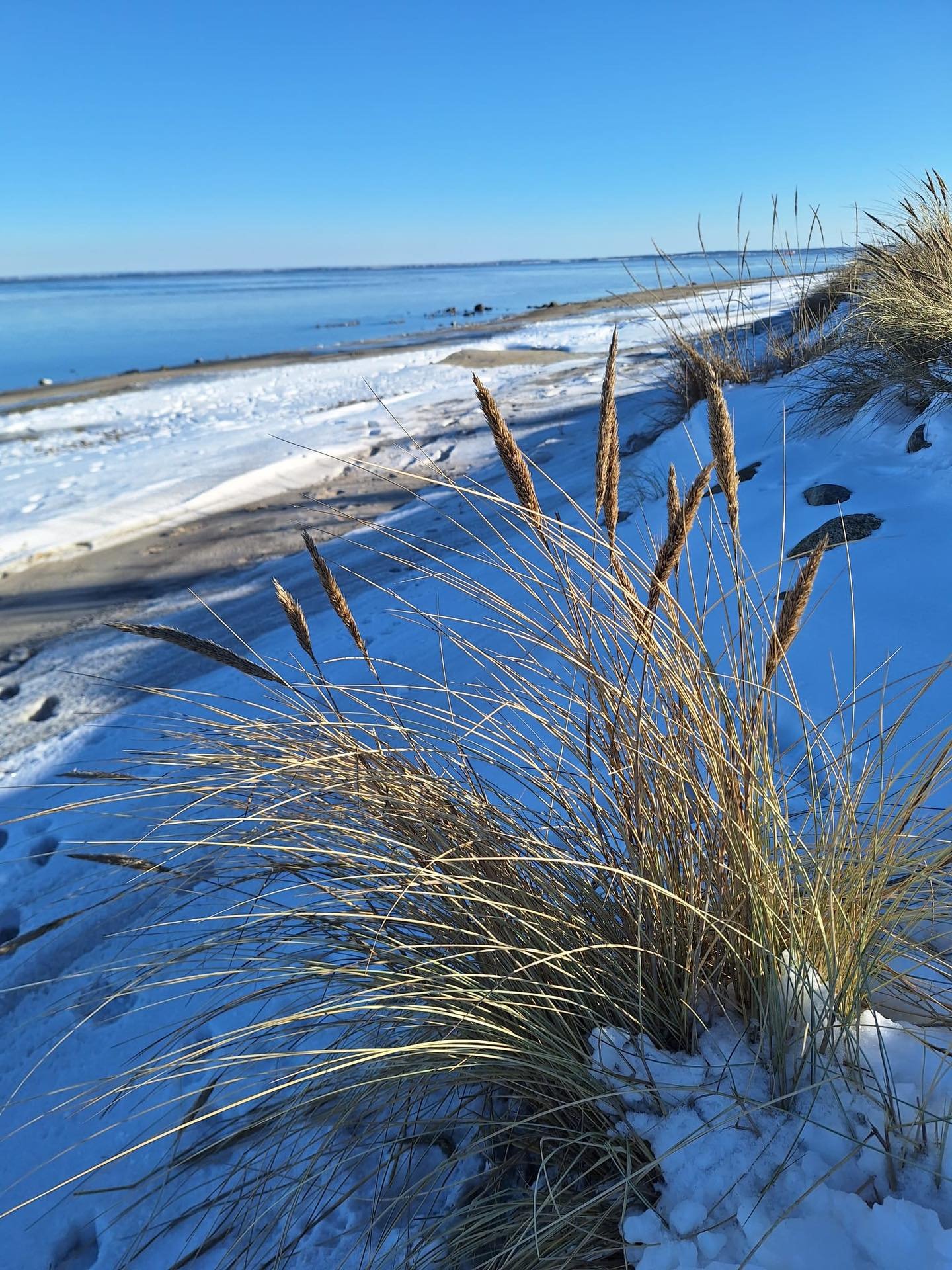 Smukkeste dag ❄️☀️🙏