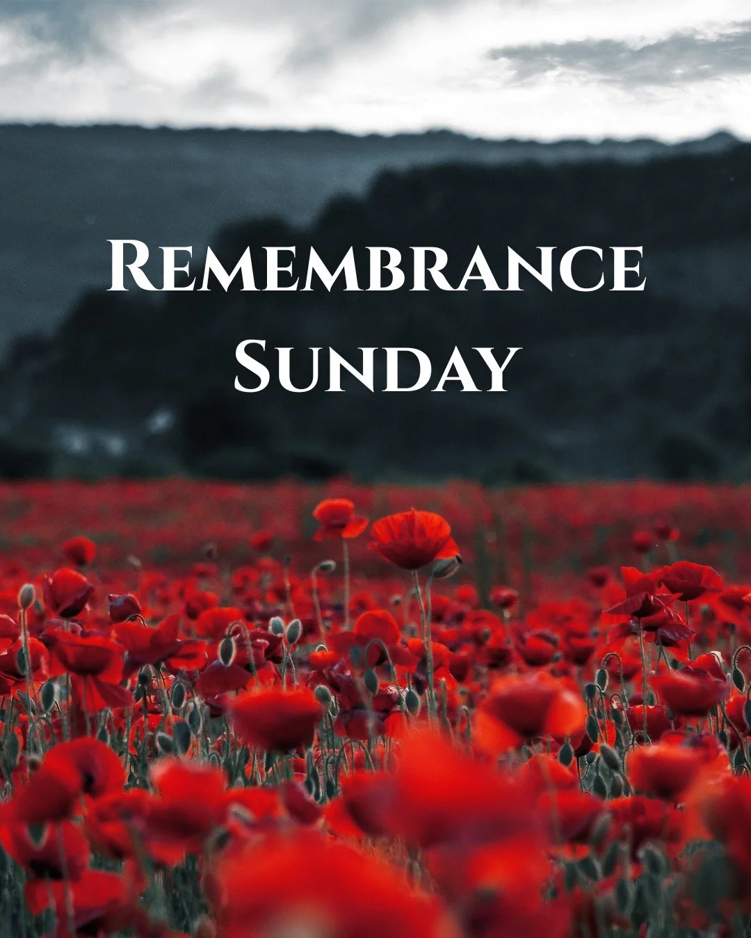 A reminder of our Services this Sunday!

8.00am - BCP Morning Prayer at St Mary's 

9.45am - The Borough Service of Remembrance at Holy Trinity. (Please note the earlier time)
The service will continue at 10.50am in the Castle Grounds with the laying