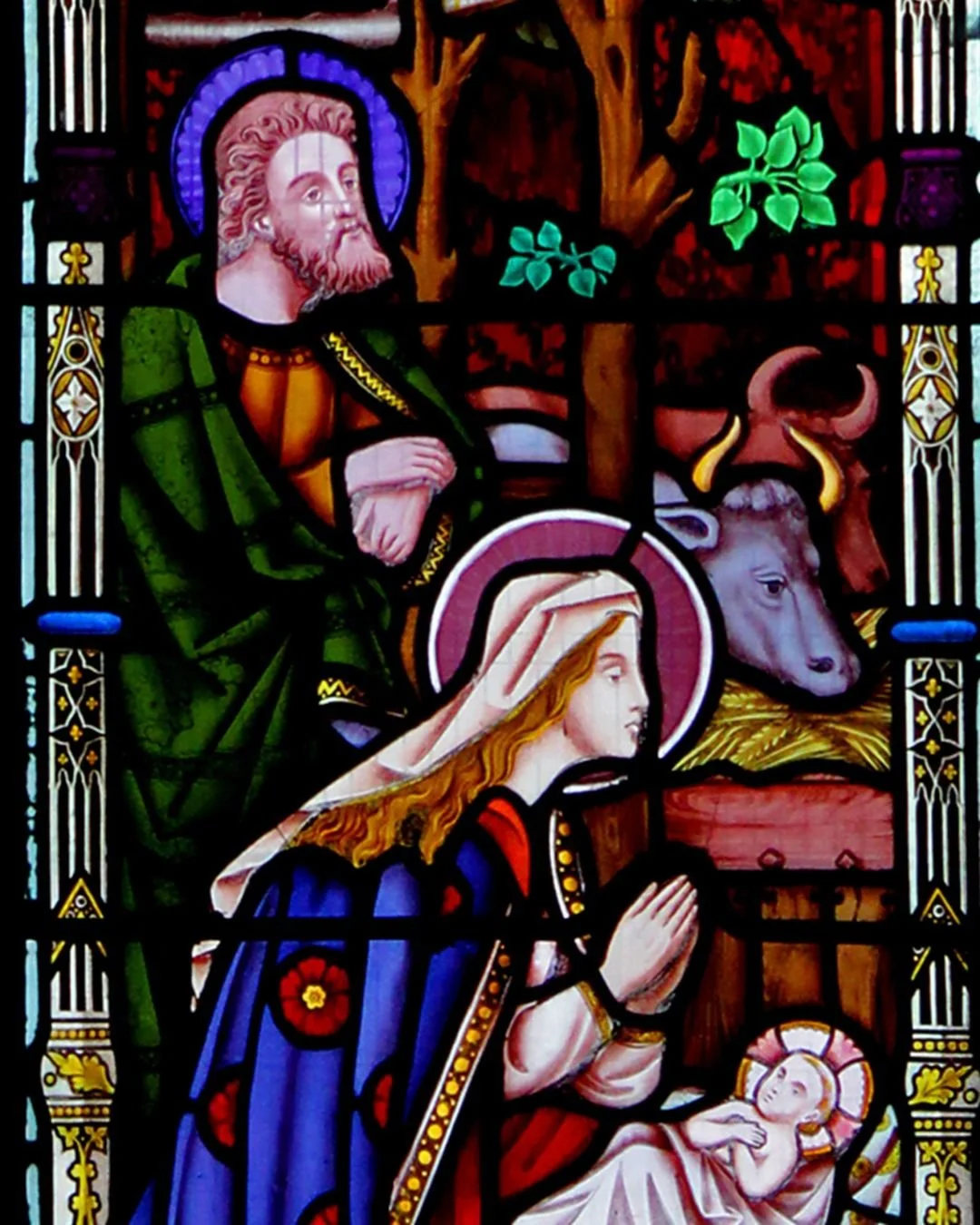 🌟 Advent &amp; Christmas at Holy Trinity &amp; St Mary&rsquo;s 🌟 

Sunday 7 December
Ceremony of Carols &bull; Holy Trinity &bull; 6pm

Sunday 14 December
Nativity Service with Donkey &bull; Holy Trinity &bull; 10am
Carols with a Difference &bull; 