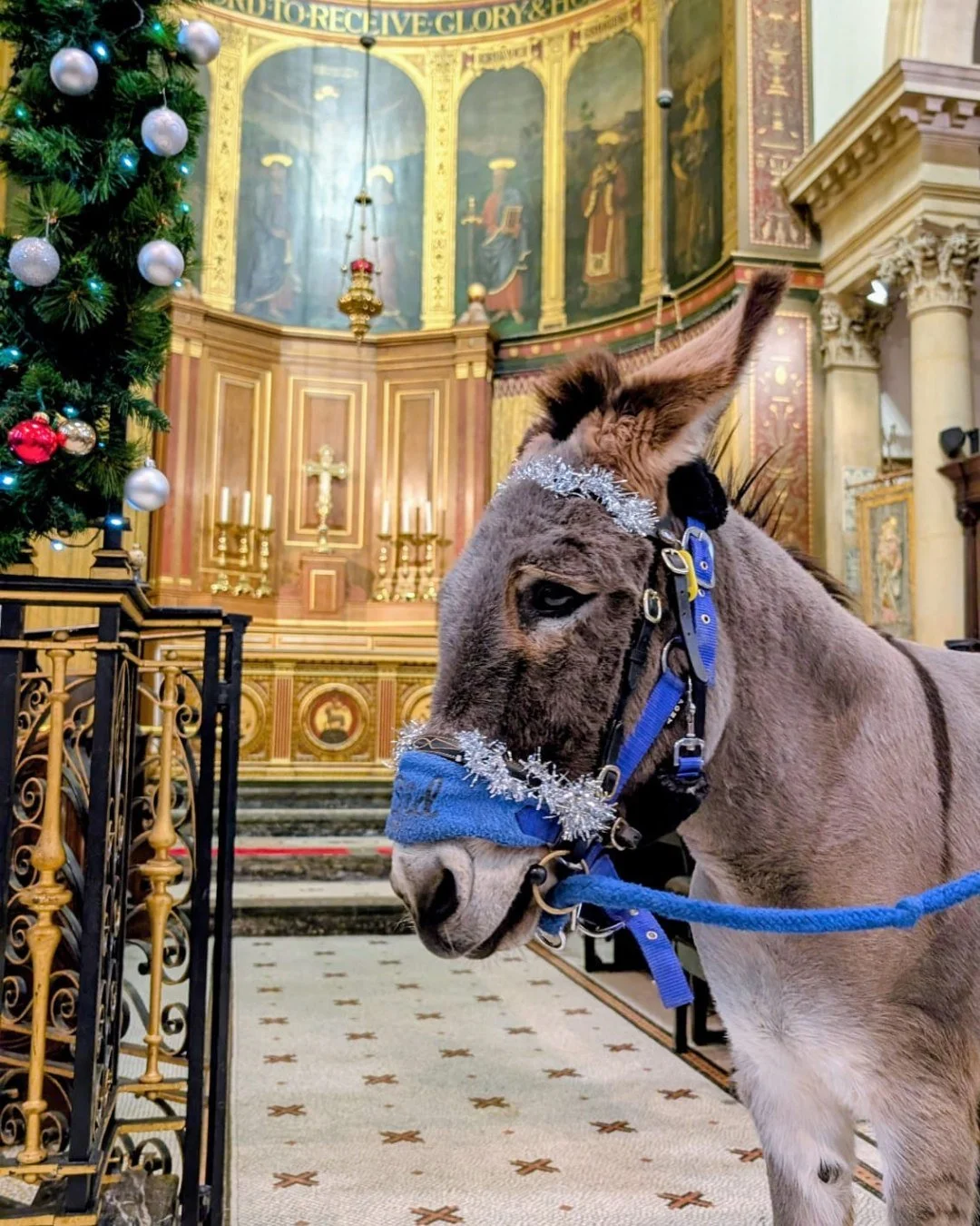 Guess who's back this Sunday?! 🫏 

Nativity Service ⭐ Holy Trinity Church ⭐  10am

#InclusiveChurch #Guildford #Nativity