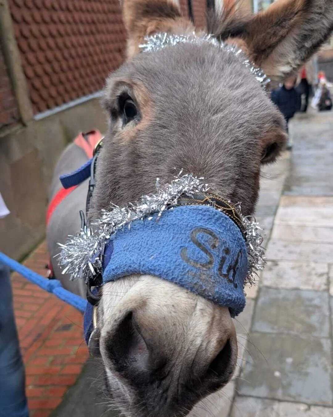 A reminder of our services this Sunday! 

If you are coming along to our Nativity service, children are encouraged to dress up and take part. The more the merrier!!😊 

Carols with a difference at St Mary's  is a fresh ways of telling the timeless me