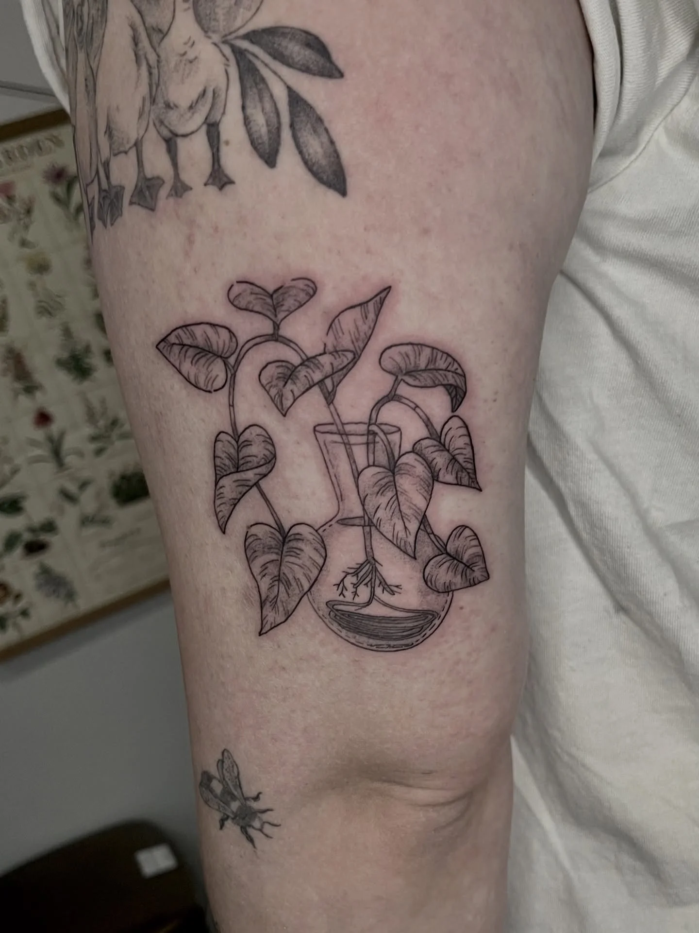 I feel so honored to have worked w E multiple times! ❤️Thank you for the trust with all these pieces, swipe to see a few healed ones from last year 🥰
.
.
.
.
as always made w lotsa love
@honey_tattoo.roc 
.
.
booking link in bio ☺️
.
.
.
#pothostatt