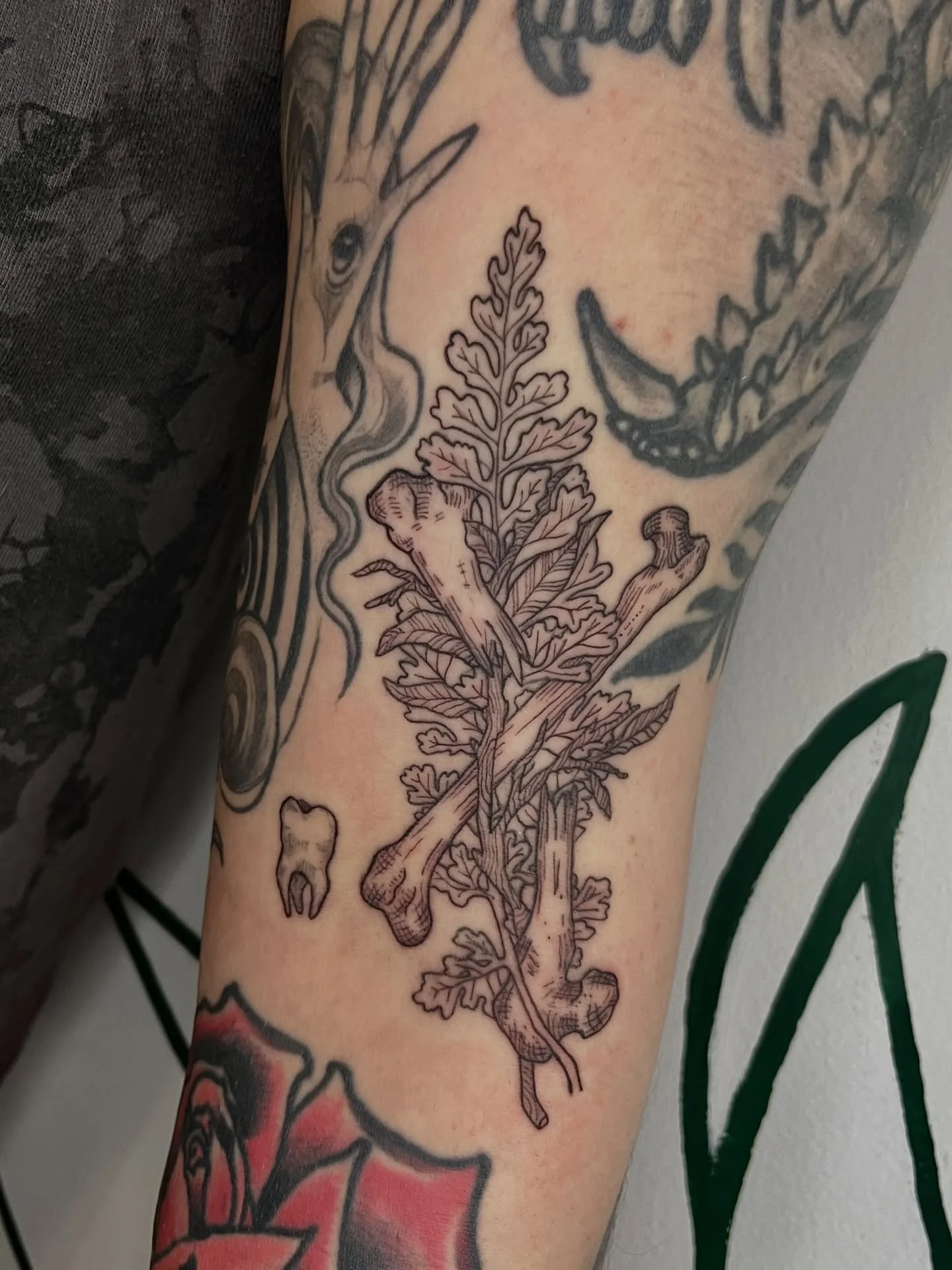 custom gap filler for my pal L! Thanks again for your trust w this on this spicy placement 🤭 this was so fun to work on!
.
.
.
.
as always, made w lotsa love 🥰
book your appt link in bio // agenda abierta enlace en mi perfil 🫶🏻
.
.
.
.
#bones #ta