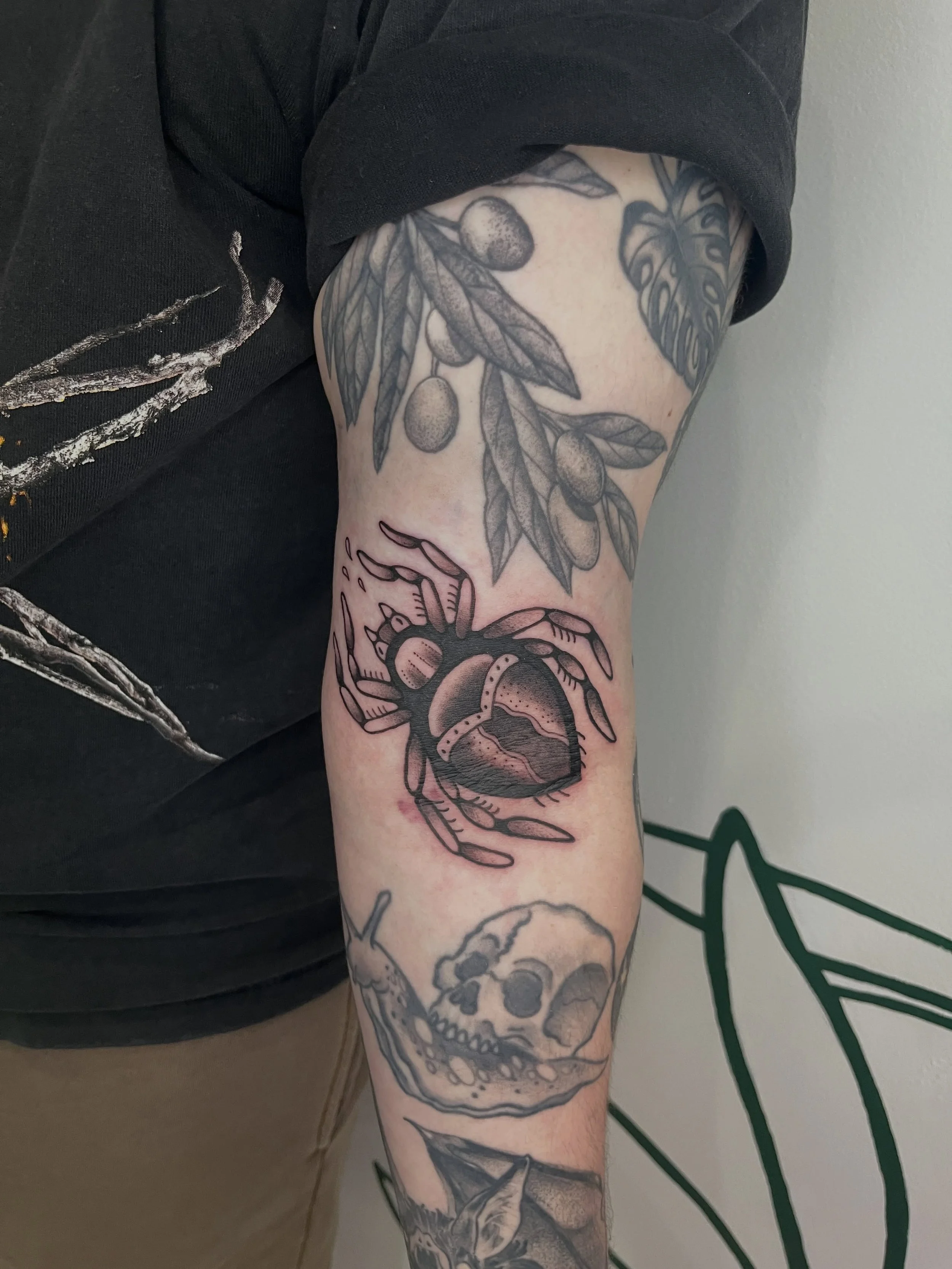 yeouchhhh what a champ L! 💪🏼 such a brave soul for this spicy ditch placement, arm is filling up so nicely tho😍 
.
.
.
.
as always made w lotsa love
@honey_tattoo.roc 
.
.
.
.
books are open, link in bio :) 
#tradtattoo #spidertattoo #ditchtattoo 