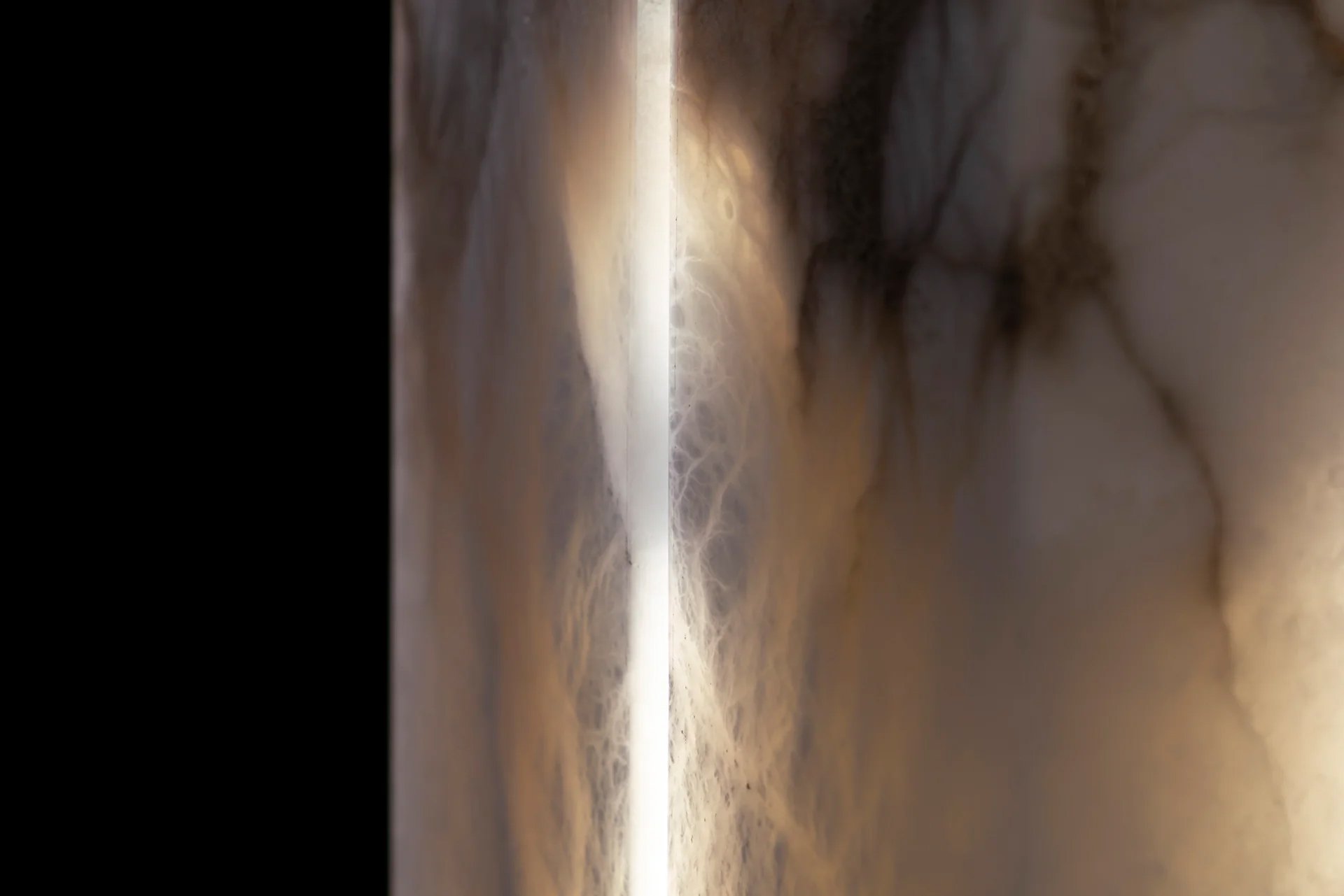 Menotius-Prometheus-06.jpg