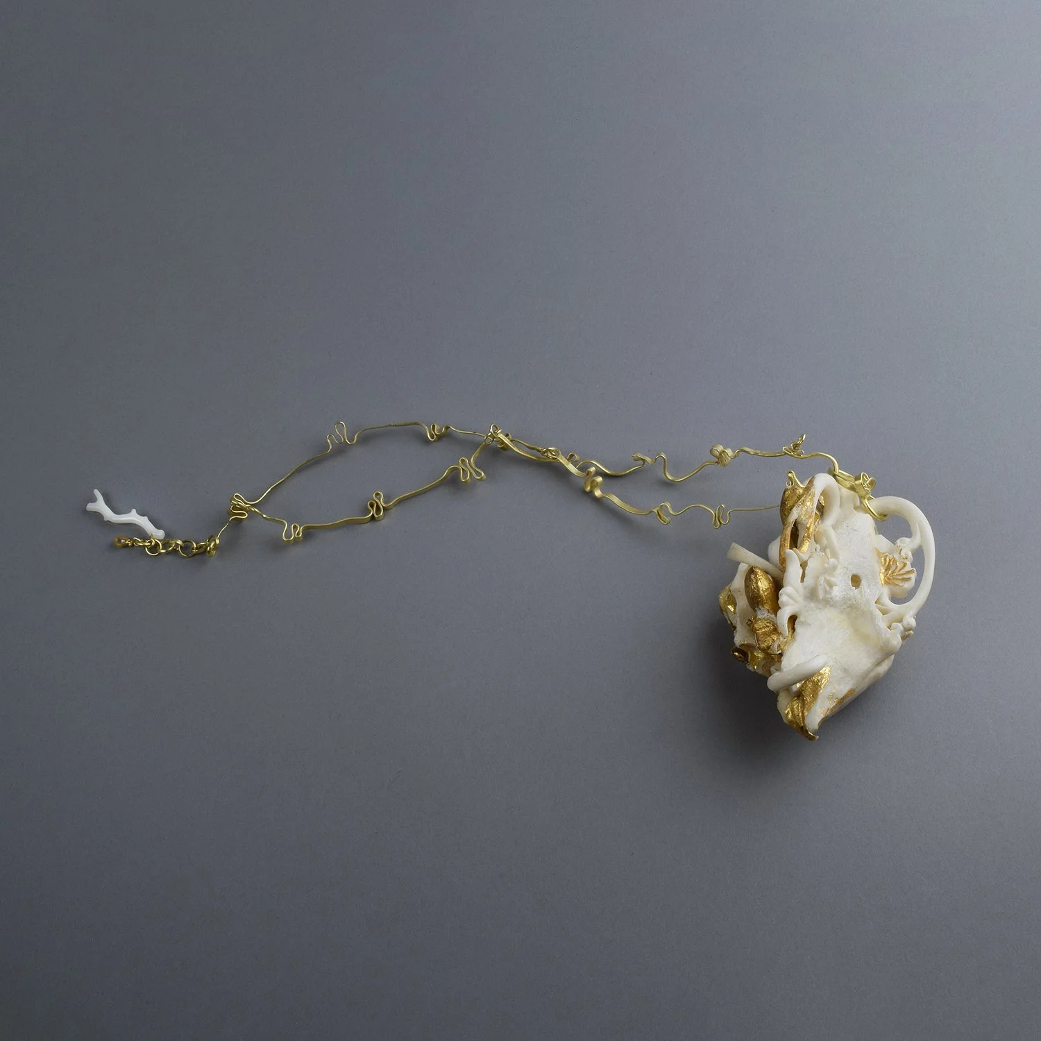 Accretio Cordis, 2017