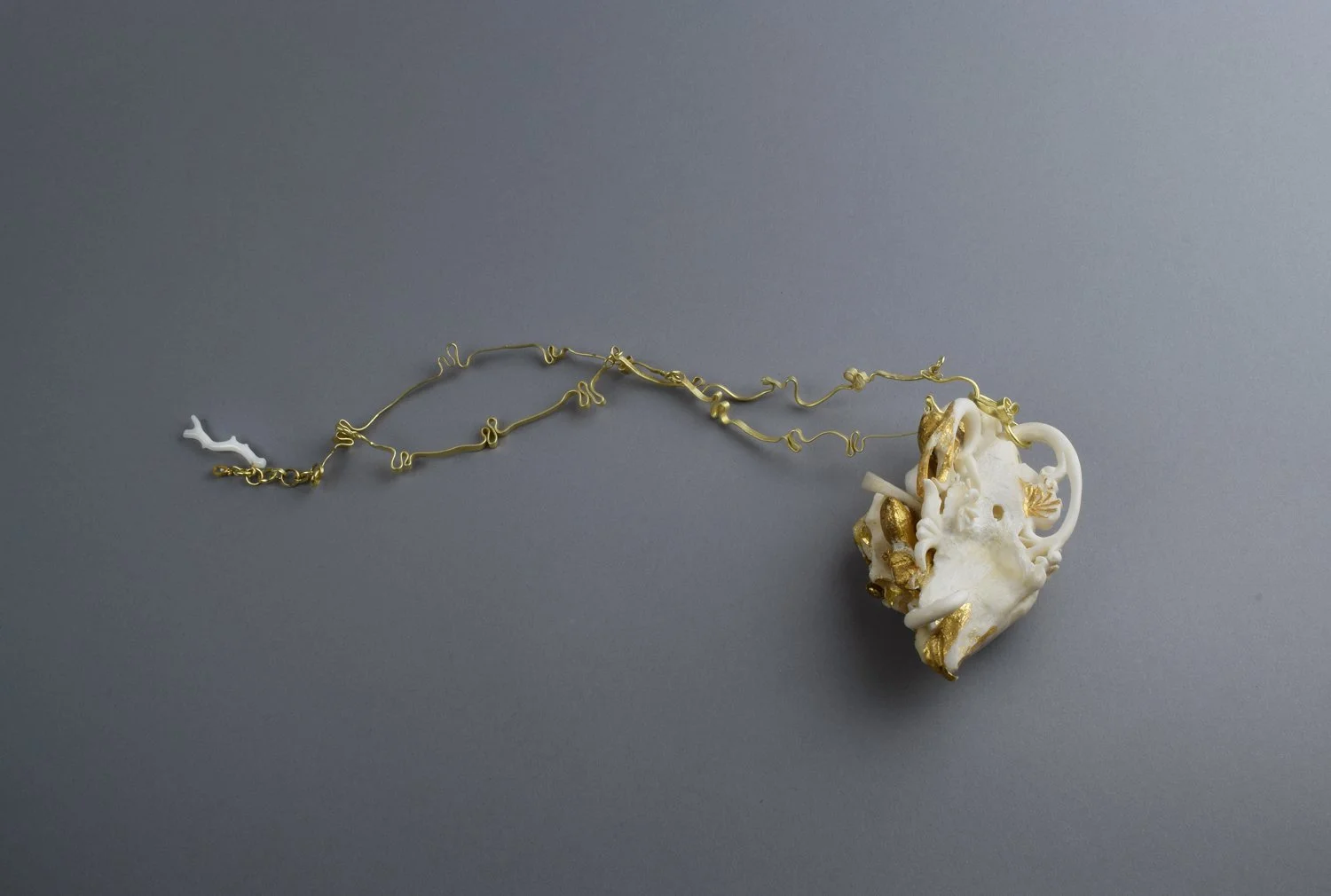 accretioCordis 2.jpg