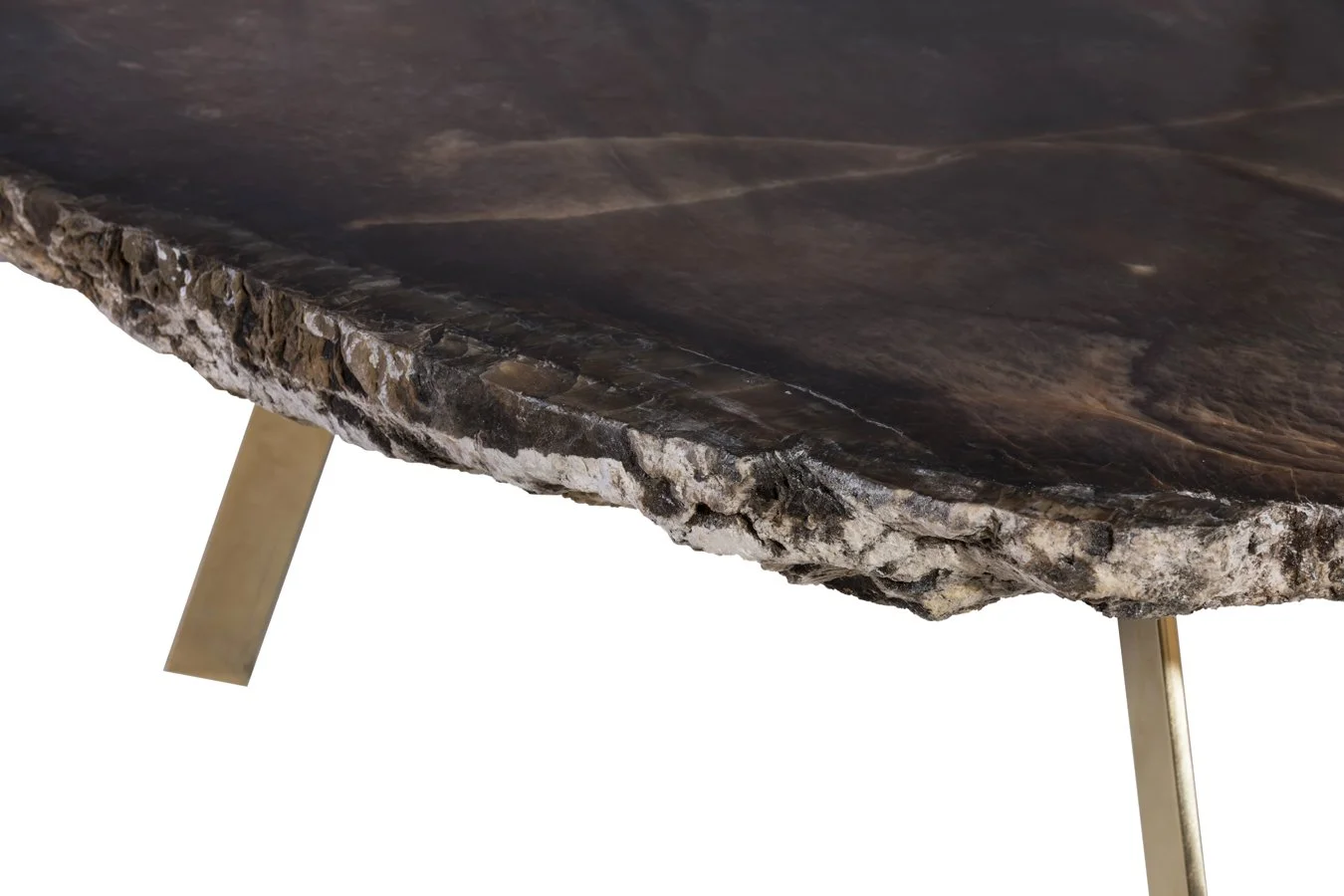 FMM_Cortex (1)_1.jpg